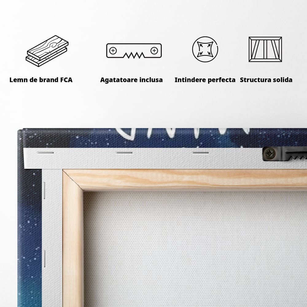 Tablou Canvas Premium, LuxCanva® Q1001, Curajul De a Crede, Limita, Testoasa, Cer, Instelat, Gandire, Motivatie, Curaj, Cosmos, Rabdare, Potential, Minte, Pozitiv, Credinta, Birou, Dormitor
