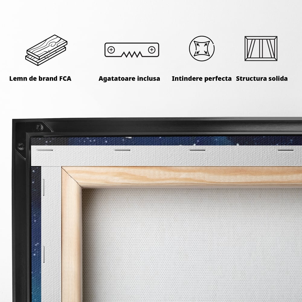 Tablou Canvas Premium, LuxCanva® Q1001, Curajul De a Crede, Limita, Testoasa, Cer, Instelat, Gandire, Motivatie, Curaj, Cosmos, Rabdare, Potential, Minte, Pozitiv, Credinta, Birou, Dormitor