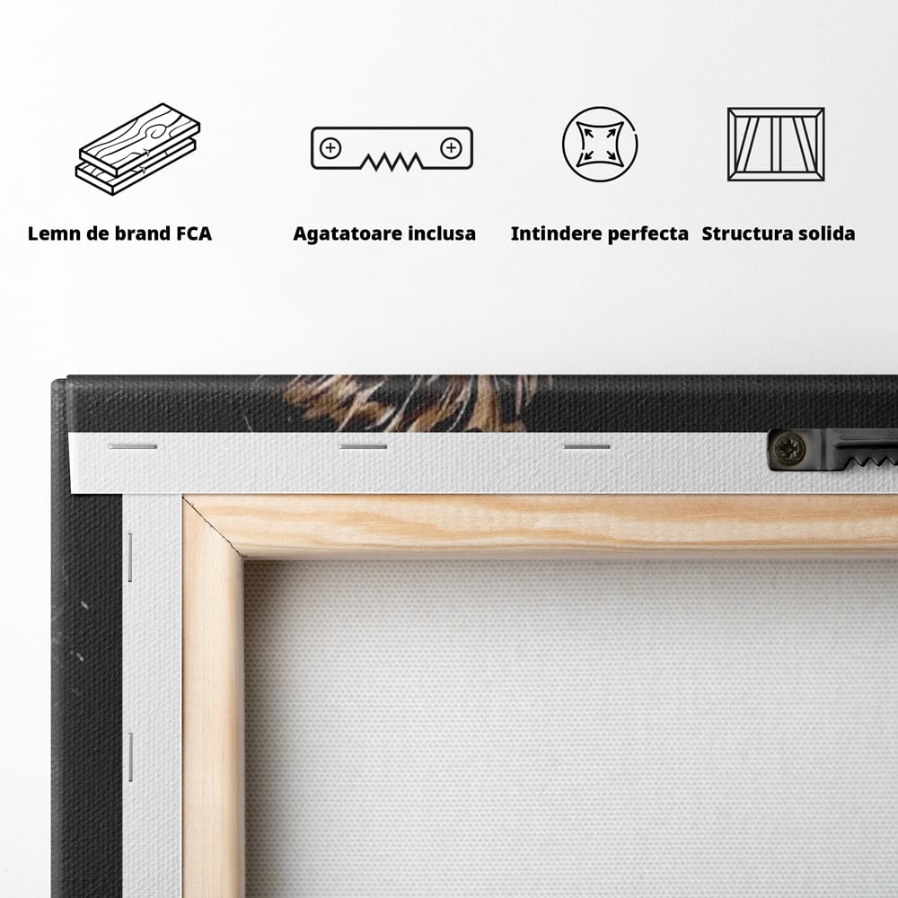 Tablou Canvas Premium, LuxCanva® Q1003, Puterea de a nu Renunta, Evolutie, Sacrificiu, Efort, Alegere, Luptator, Mentalitate, Razboinic, Drum, Erou, Scut, Stea, Masculin, Birou, Dormitor