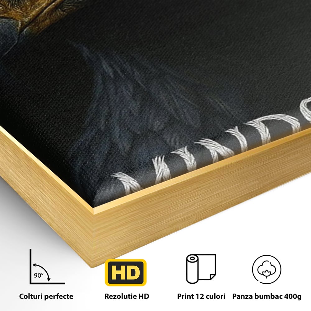 Tablou Canvas Premium, LuxCanva® Q1007, Puterea Gandului, Mentalitate, Vultur, Claritate, Gand, Lider, Succes, Libertate, Inteligenta, Privire, Pene, Antreprenoriat, Pasare, Padure, Birou, Dormitor