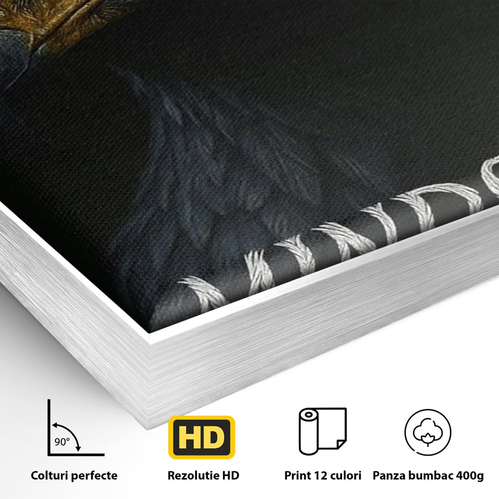 Tablou Canvas Premium, LuxCanva® Q1007, Puterea Gandului, Mentalitate, Vultur, Claritate, Gand, Lider, Succes, Libertate, Inteligenta, Privire, Pene, Antreprenoriat, Pasare, Padure, Birou, Dormitor
