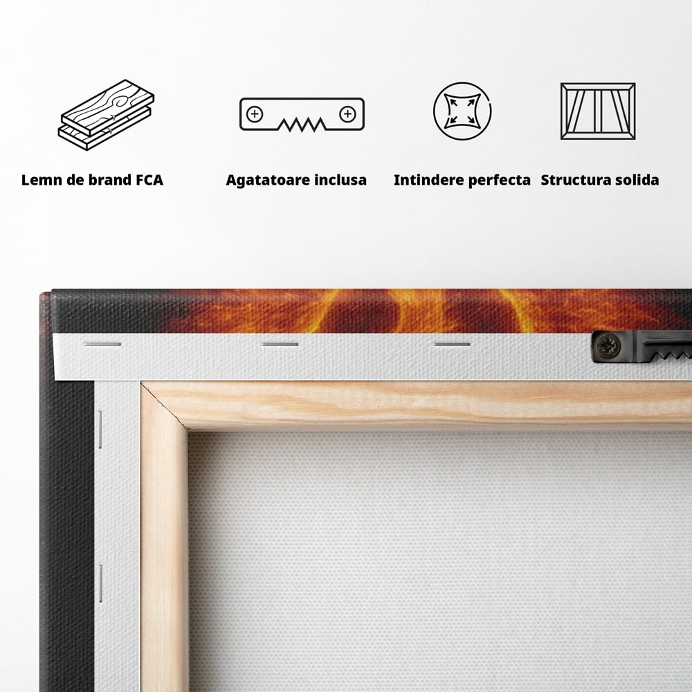 Tablou Canvas Premium, LuxCanva® Q1023, Puterea Renasterii, Phoenix, Pasare, Foc, Flacari, Motivatie, Renastere, Curaj, Triumf, Mitic, Birou, Dormitor
