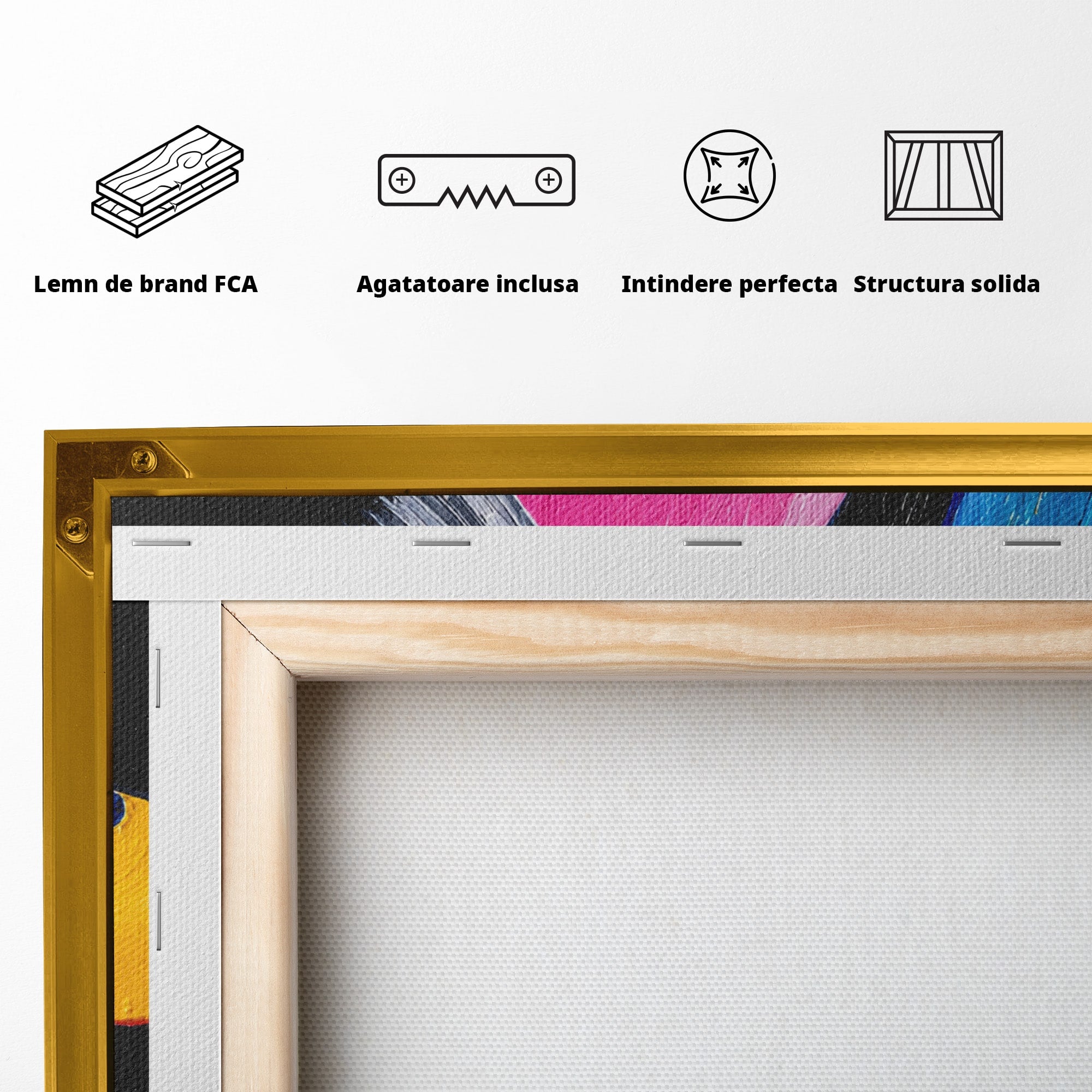 Tablou Canvas Premium LuxCanva® R1005, Viniluri Colorate, Viniluri, Muzica, Retro, Arta Abstracta, Living, Culori Vibrante
