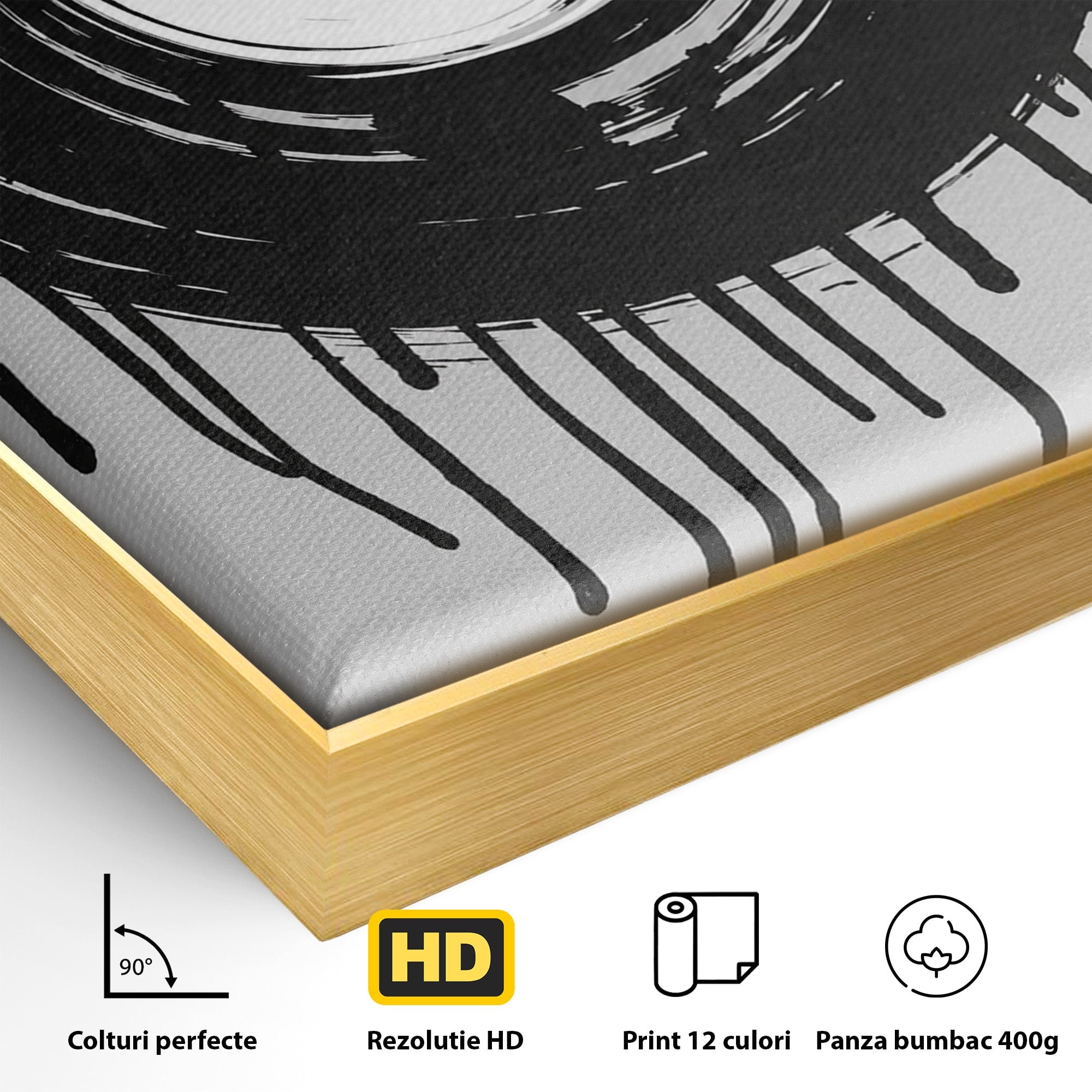 Tablou Canvas Premium LuxCanva® R1006, Vinil Topit, Vinil, Muzica, Abstract, Modern, Birou, Culori Vibrante