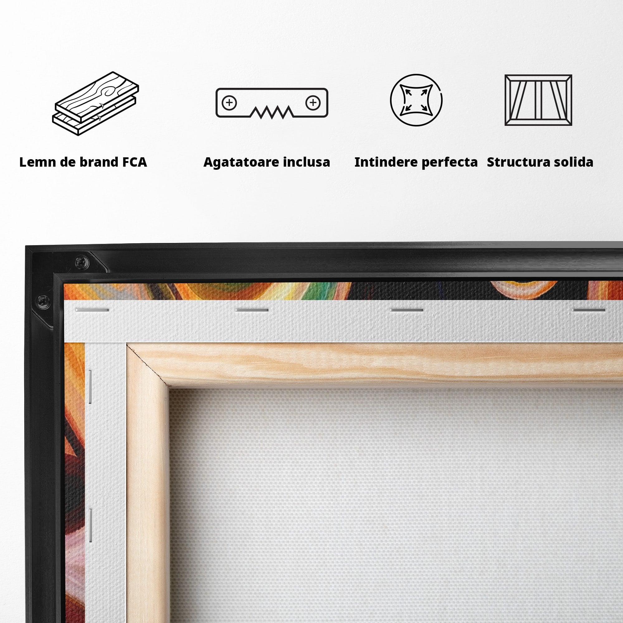 Tablou Canvas Premium LuxCanva® R1008, Fata Si Muzica, Fata, Muzica, Abstract, Arta, Living, Culori Vibrante