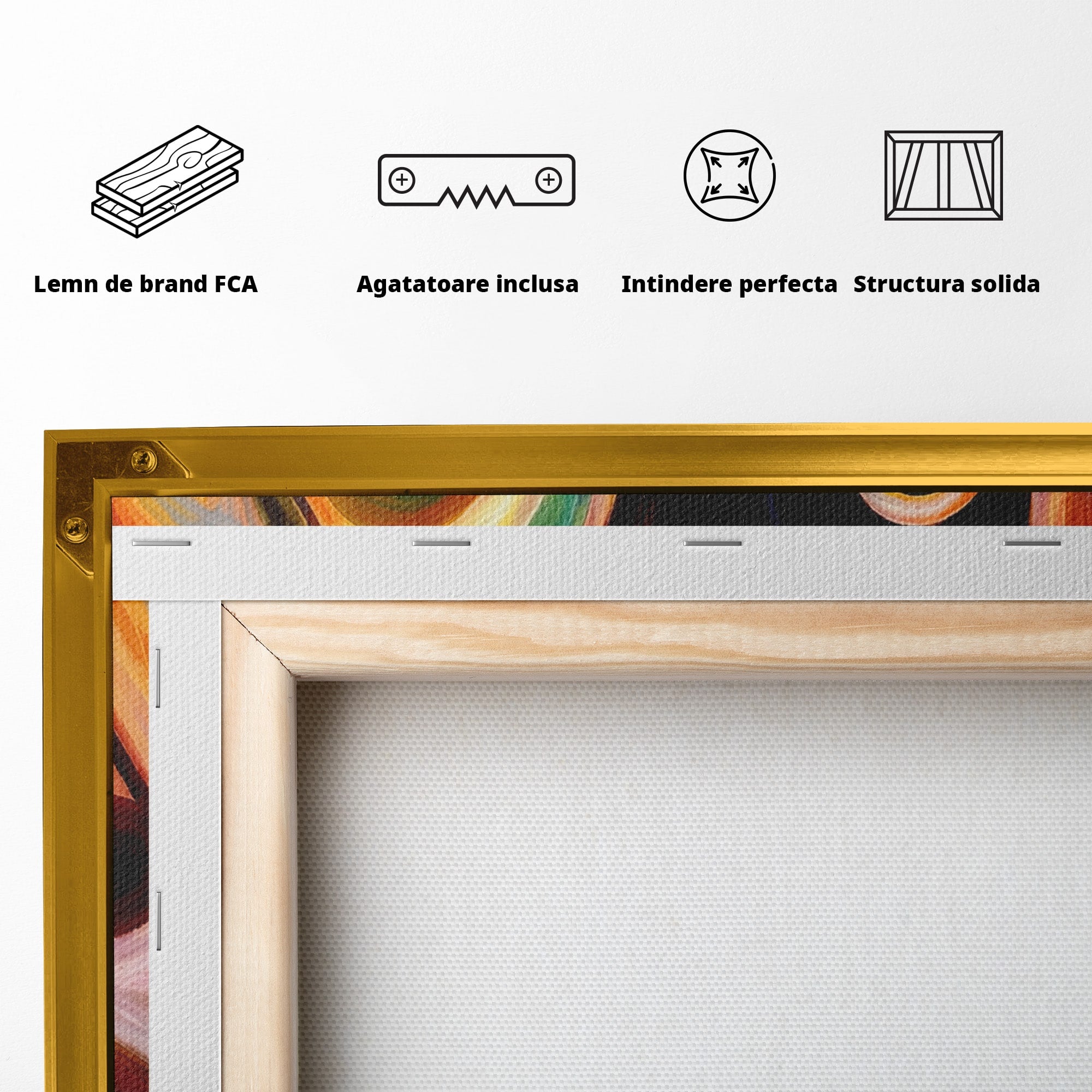 Tablou Canvas Premium LuxCanva® R1008, Fata Si Muzica, Fata, Muzica, Abstract, Arta, Living, Culori Vibrante