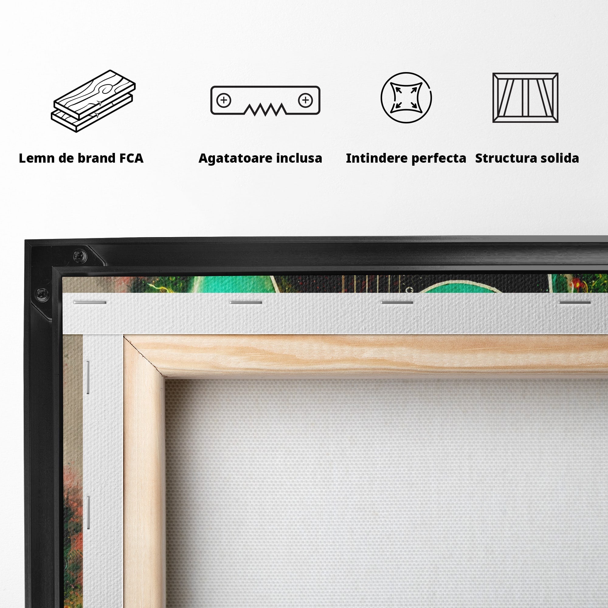 Tablou Canvas Premium LuxCanva® R1009, Chitara Electrica Vintage, Chitara, Muzica, Vintage, Arta, Living, Culori Vibrante