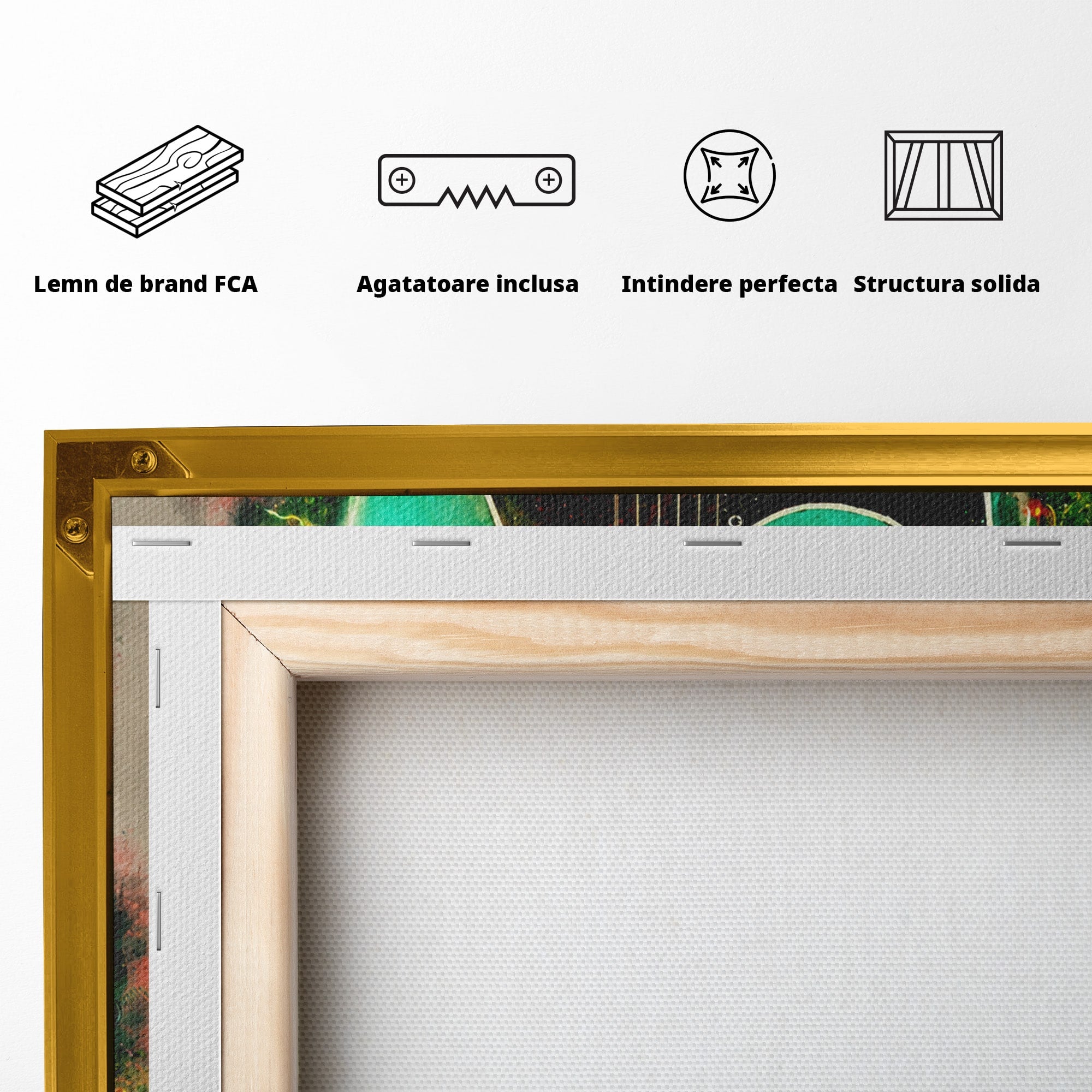 Tablou Canvas Premium LuxCanva® R1009, Chitara Electrica Vintage, Chitara, Muzica, Vintage, Arta, Living, Culori Vibrante