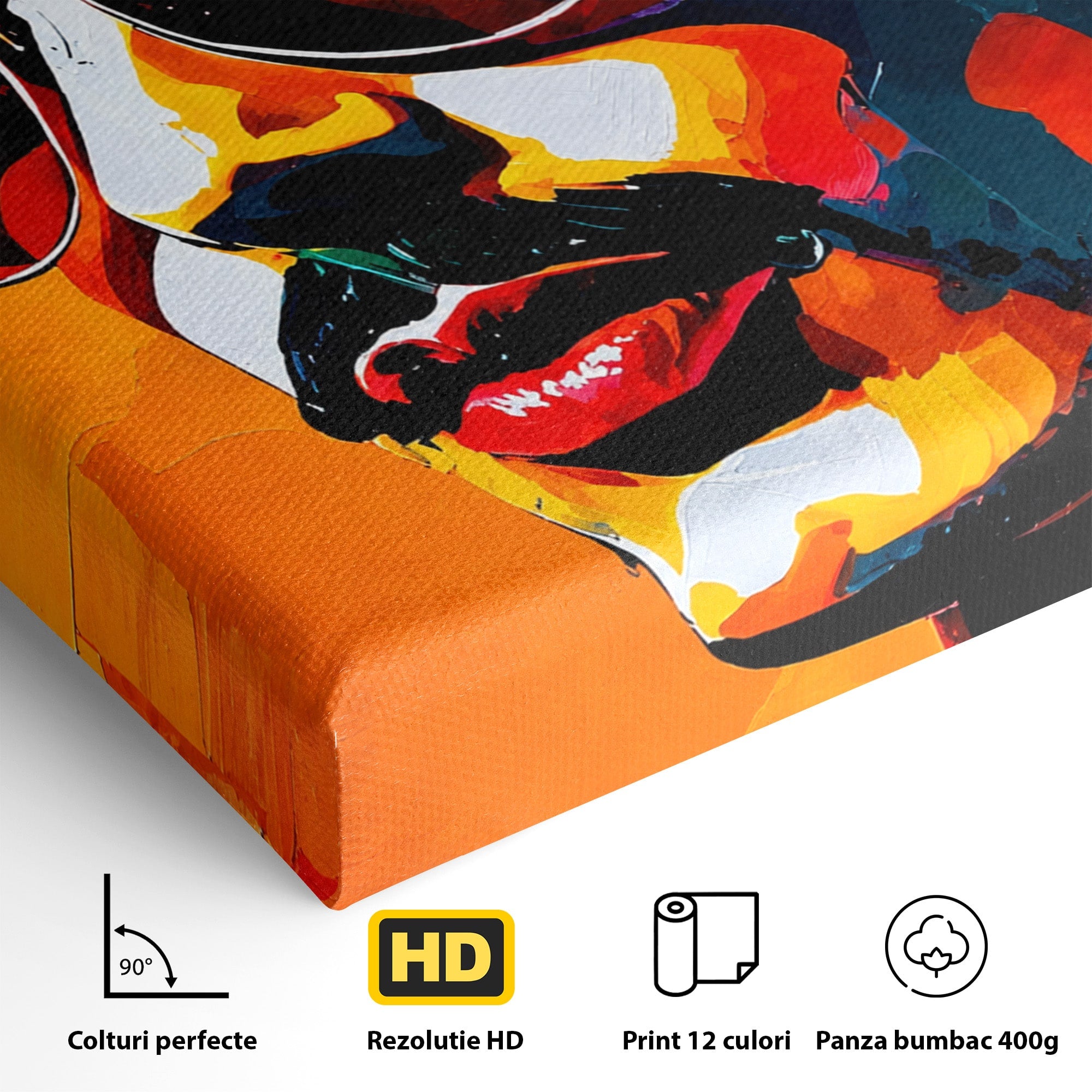 Tablou Canvas Premium LuxCanva® R1017, Portret Rock Iconic, Portret, Muzica, Rock, Living, Arta, Culori Vibrante