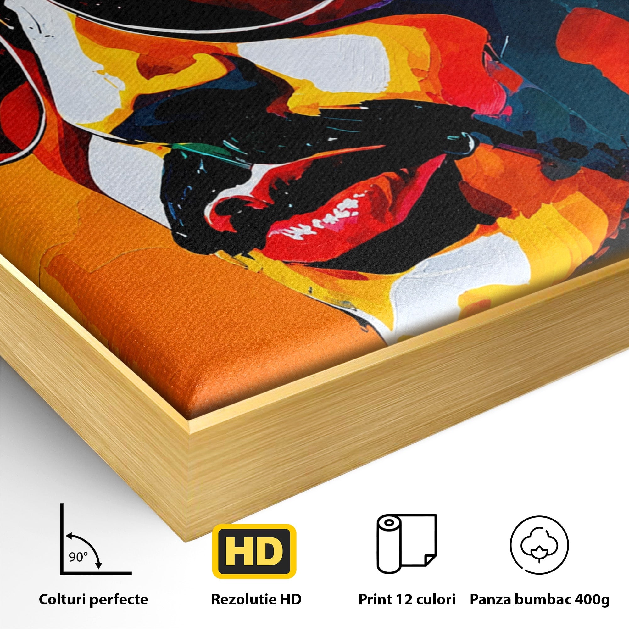 Tablou Canvas Premium LuxCanva® R1017, Portret Rock Iconic, Portret, Muzica, Rock, Living, Arta, Culori Vibrante