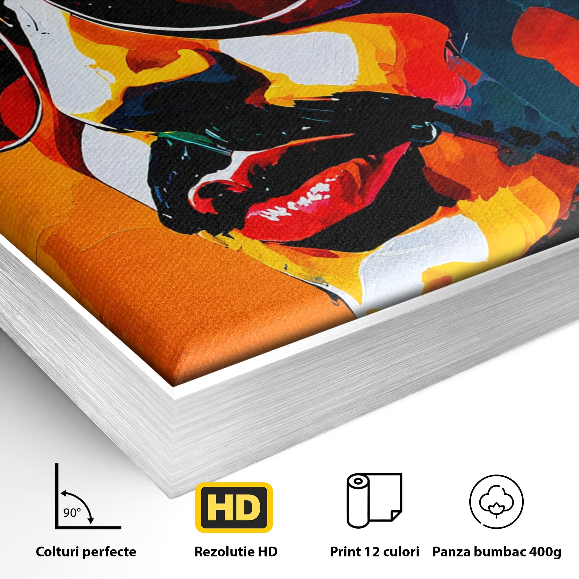 Tablou Canvas Premium LuxCanva® R1017, Portret Rock Iconic, Portret, Muzica, Rock, Living, Arta, Culori Vibrante