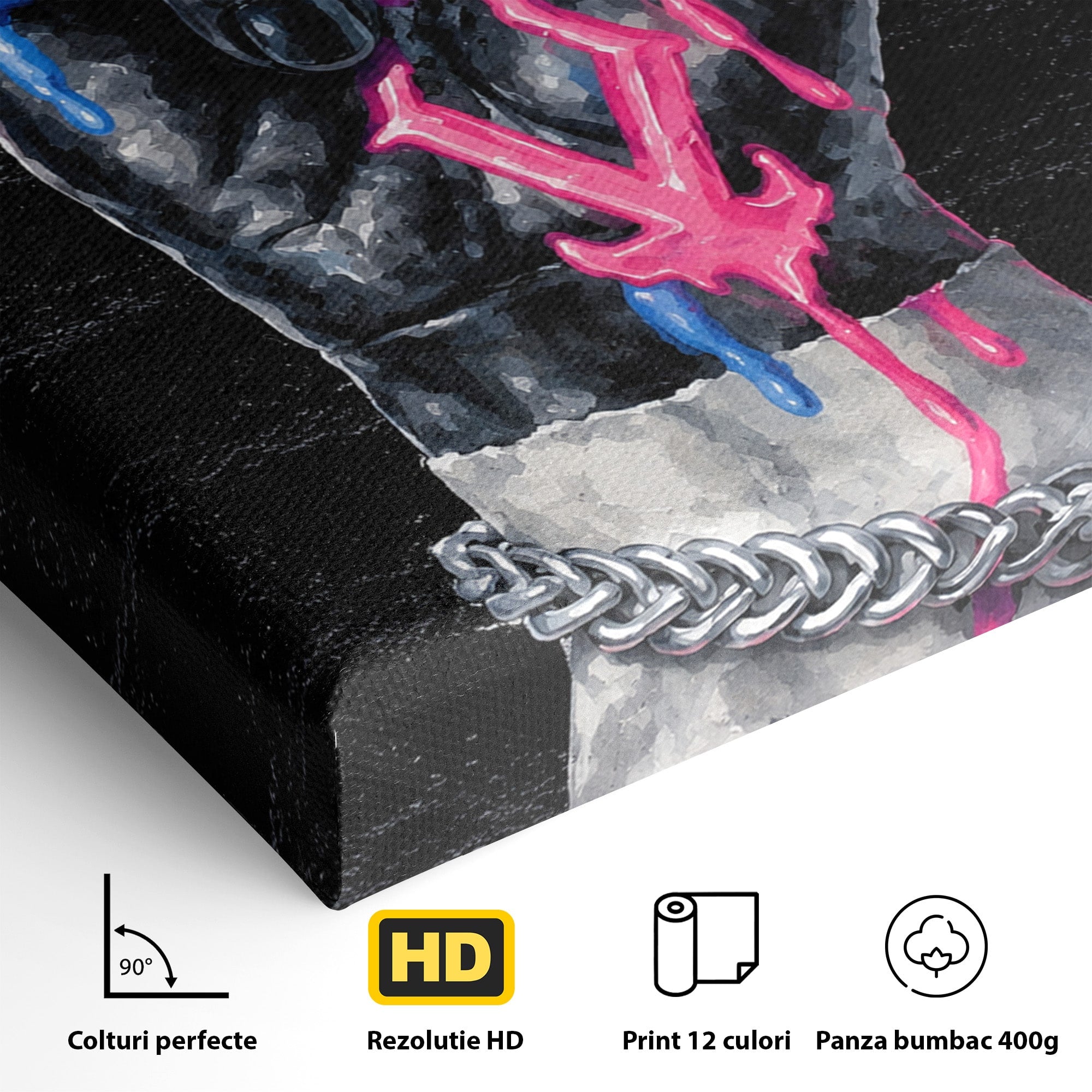 Tablou Canvas Premium LuxCanva® R1021, Mana Rock, Mana, Rock, Arta, Modern, Birou, Culori Vibrante
