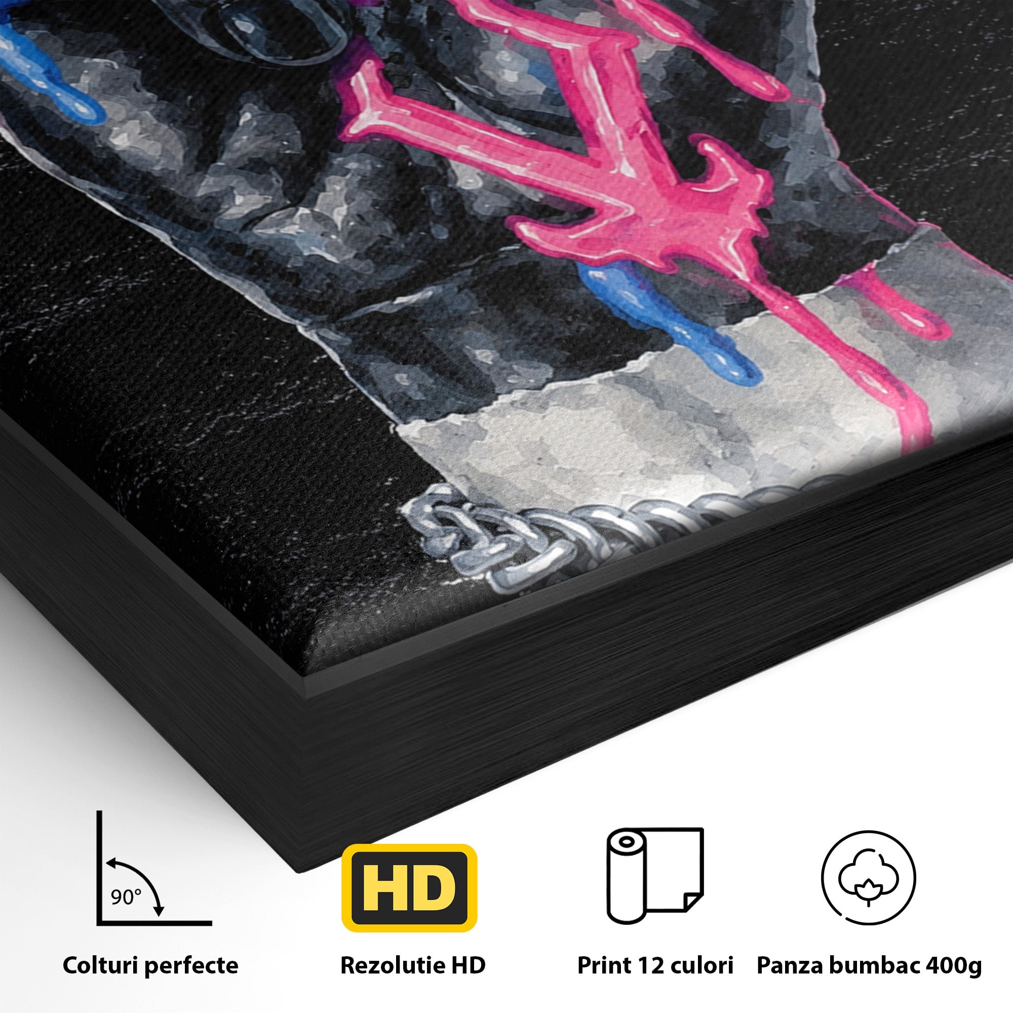 Tablou Canvas Premium LuxCanva® R1021, Mana Rock, Mana, Rock, Arta, Modern, Birou, Culori Vibrante