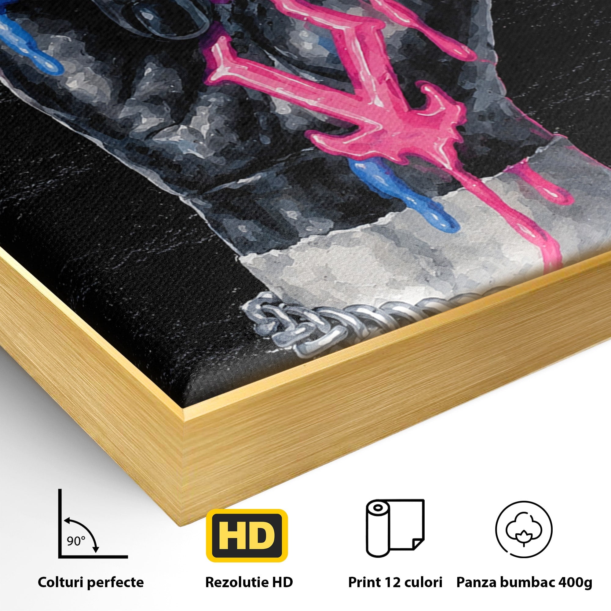 Tablou Canvas Premium LuxCanva® R1021, Mana Rock, Mana, Rock, Arta, Modern, Birou, Culori Vibrante