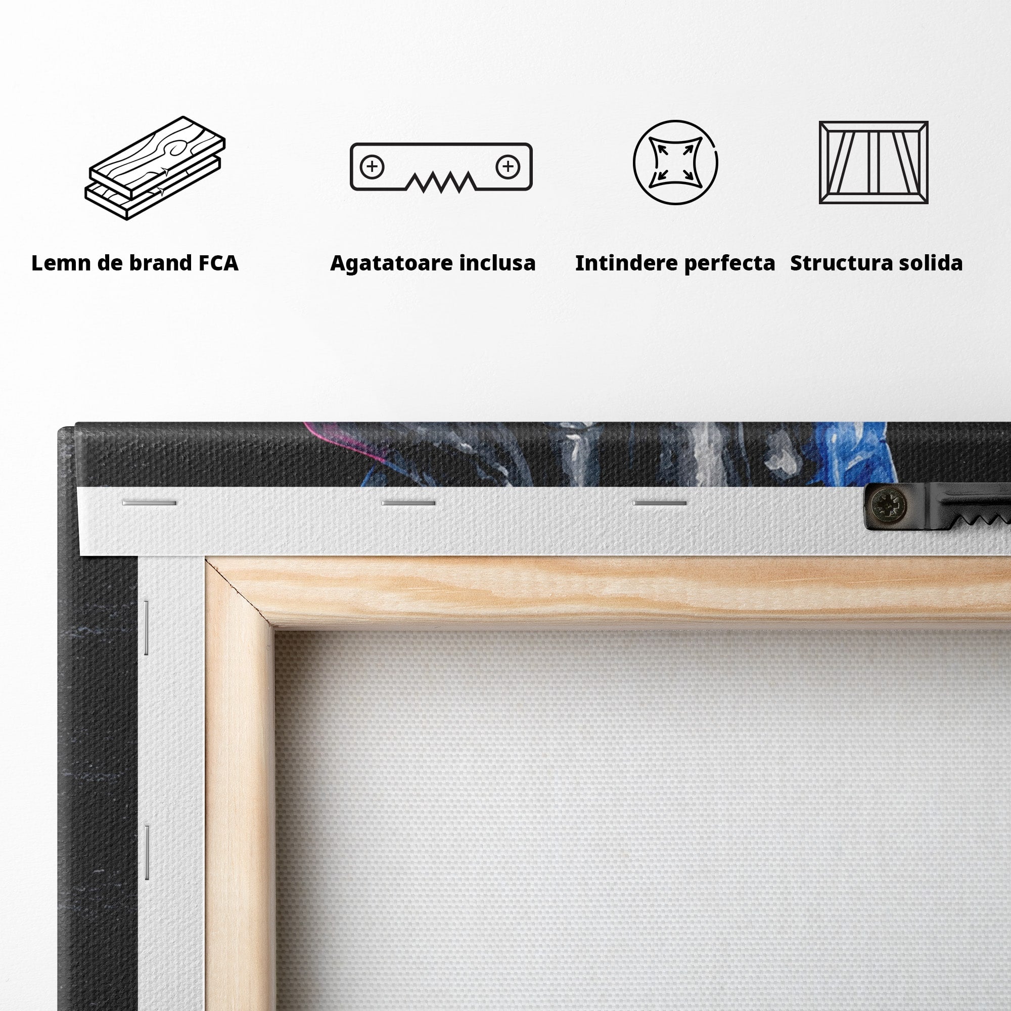 Tablou Canvas Premium LuxCanva® R1021, Mana Rock, Mana, Rock, Arta, Modern, Birou, Culori Vibrante