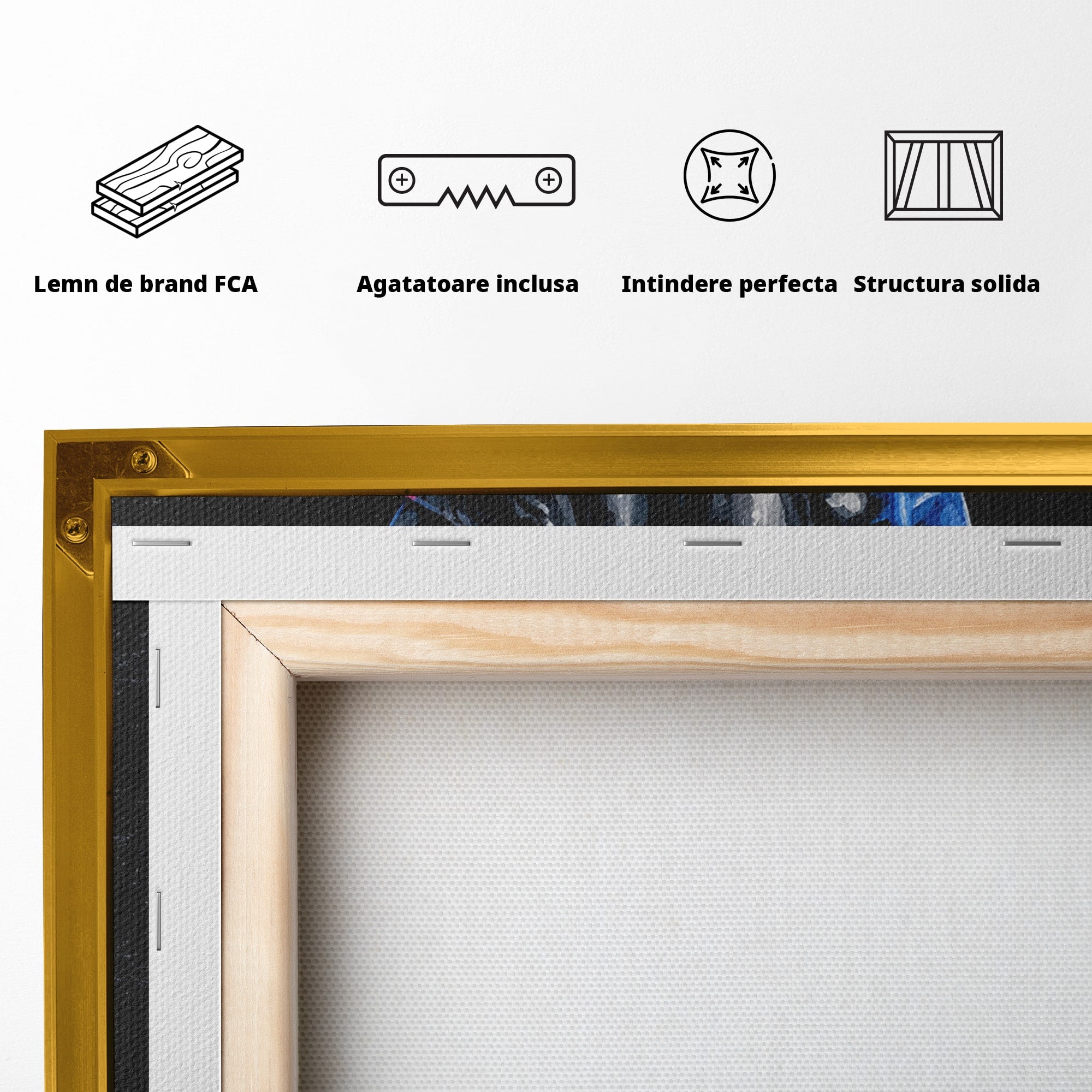 Tablou Canvas Premium LuxCanva® R1021, Mana Rock, Mana, Rock, Arta, Modern, Birou, Culori Vibrante