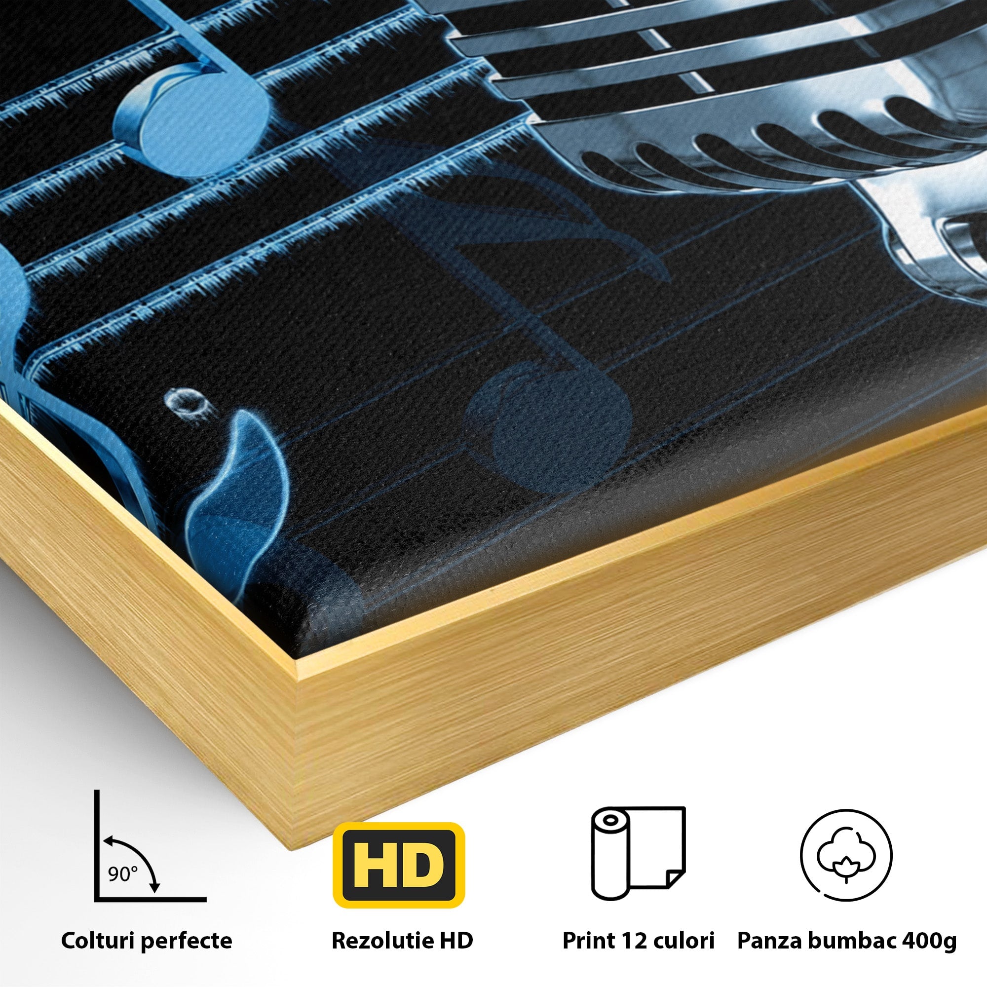 Tablou Canvas Premium LuxCanva® R1025, Microfon Retro Muzical, Microfon, Muzica, Retro, Note Muzicale, Birou, Living, Culori Vibrante