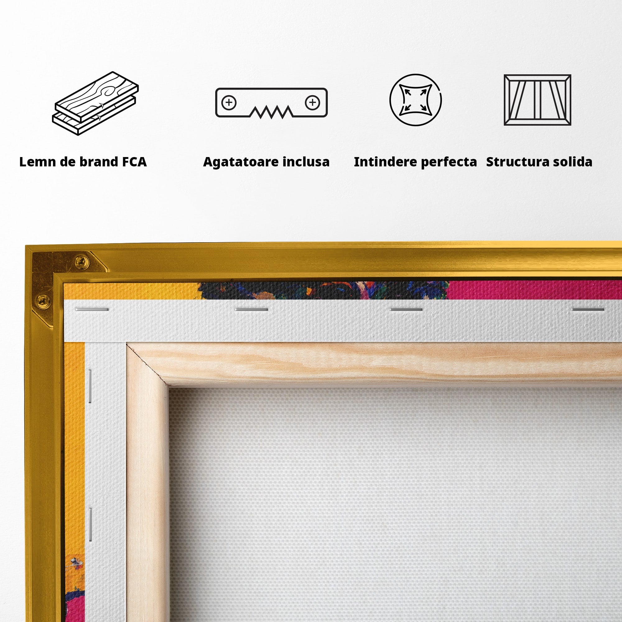 Tablou Canvas Premium LuxCanva® R1036, Chitaristul Retro, Chitarist, Retro, Portret, Muzica, Living, Culori Vibrante