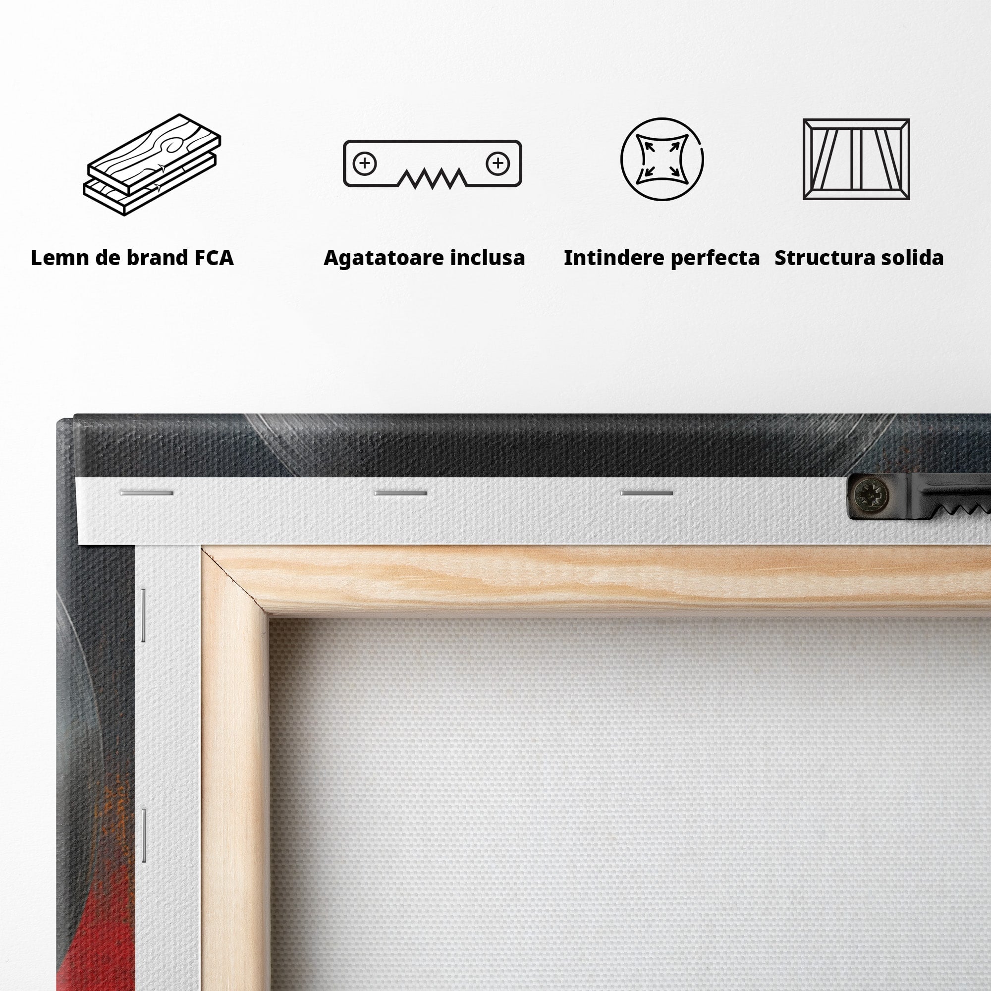 Tablou Canvas Premium LuxCanva® R1038, Mana Demonica Cu Disc Vinil, Mana, Vinil, Demonic, Halloween, Living, Culori Vibrante