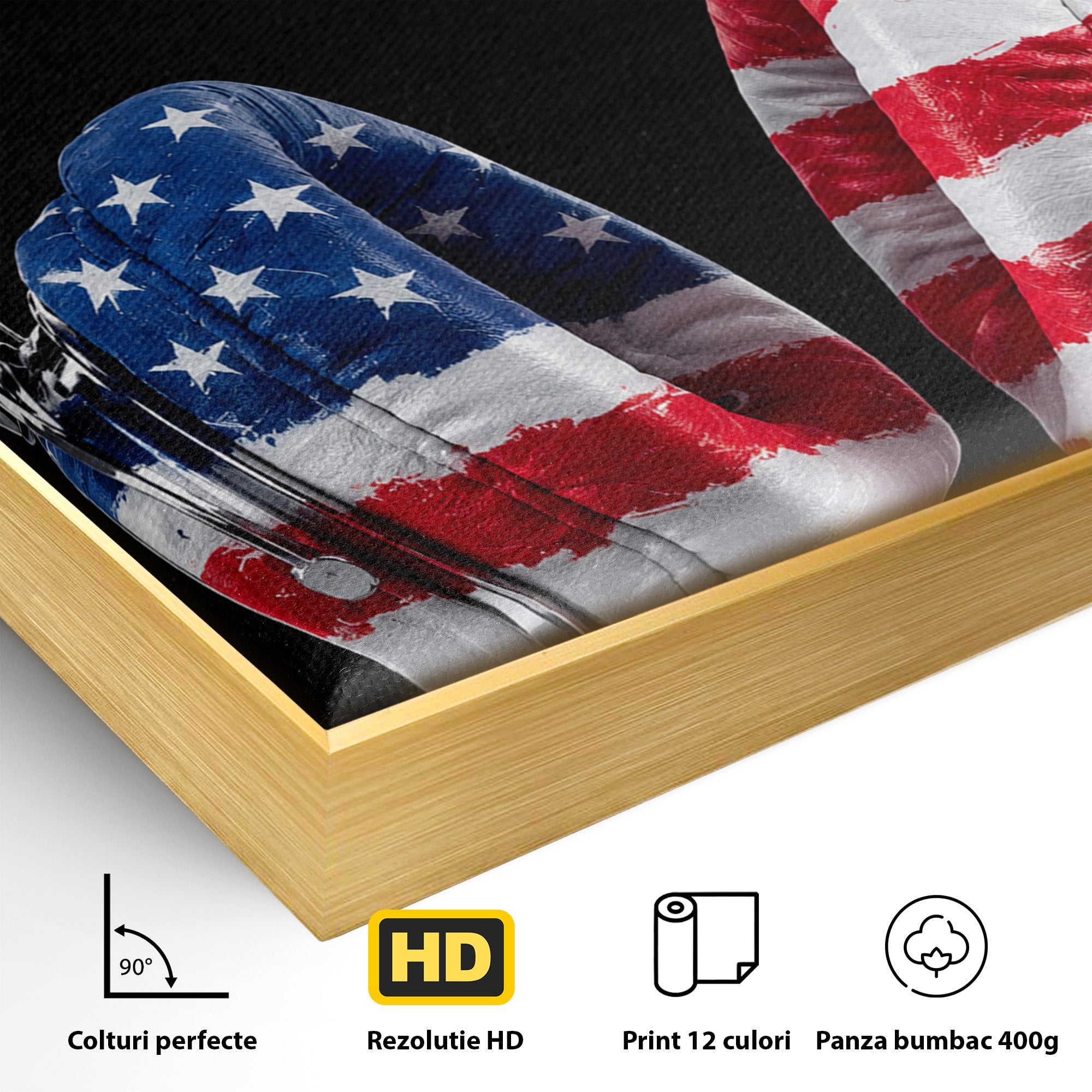 Tablou Canvas Premium LuxCanva® R1041, Castile Patriotice, Castile, Stele, Drapel, Muzica, Birou, Culori Vibrante