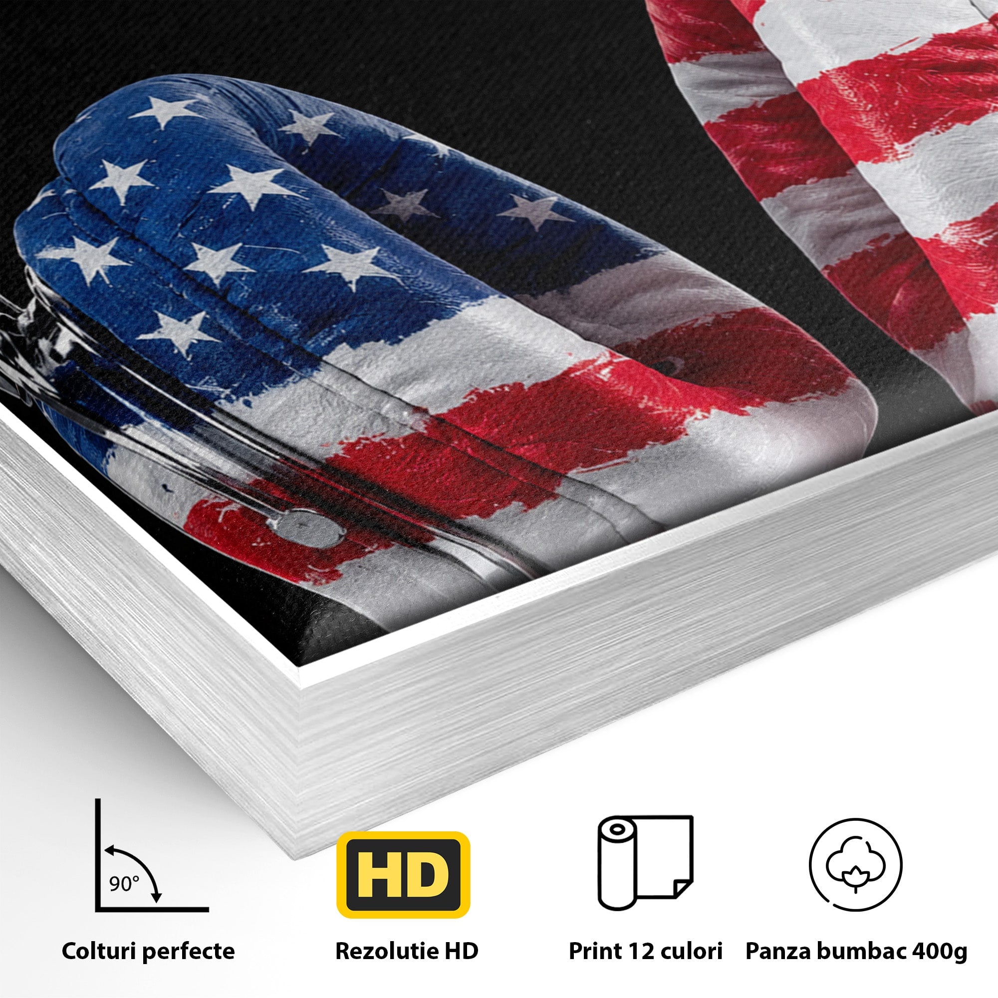 Tablou Canvas Premium LuxCanva® R1041, Castile Patriotice, Castile, Stele, Drapel, Muzica, Birou, Culori Vibrante