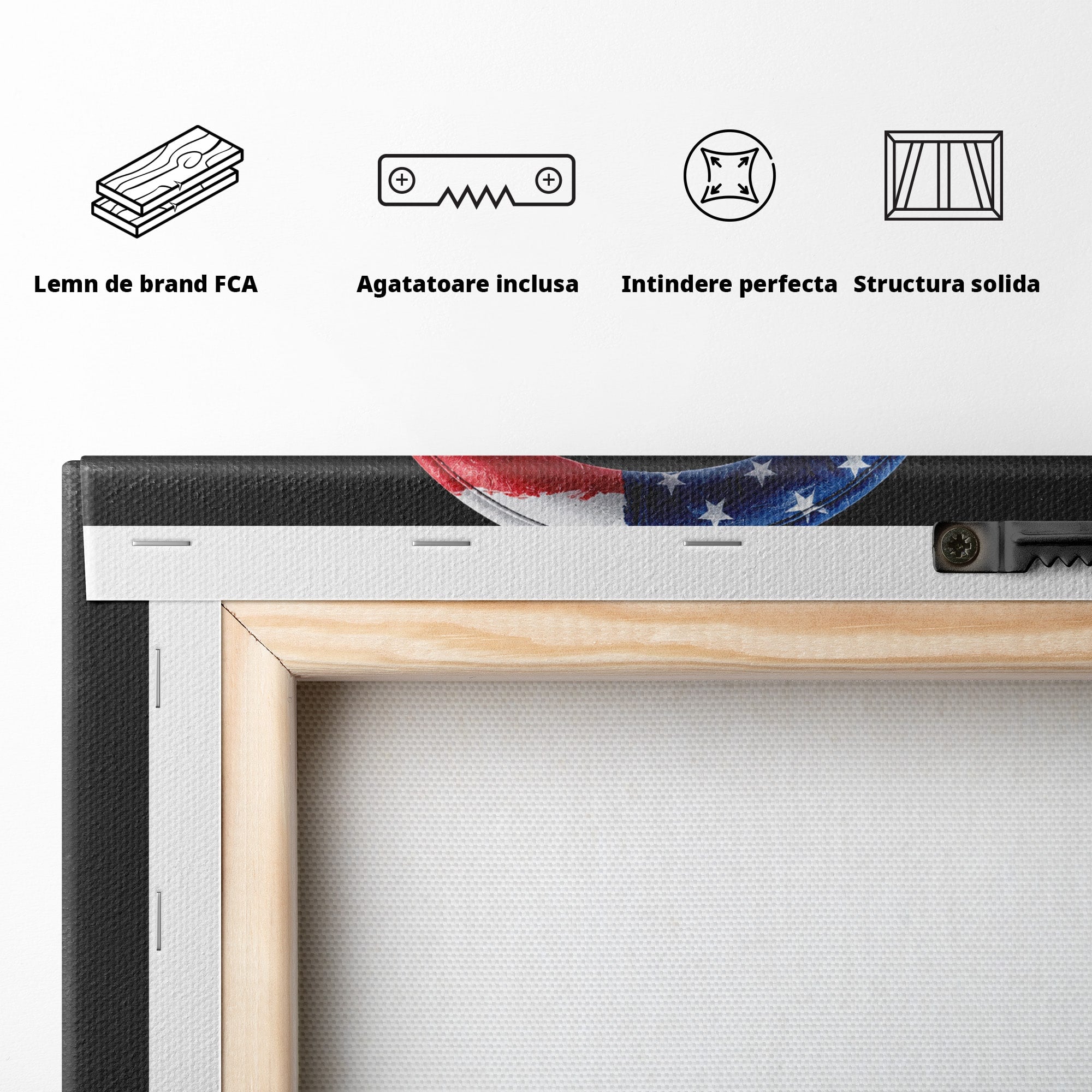 Tablou Canvas Premium LuxCanva® R1041, Castile Patriotice, Castile, Stele, Drapel, Muzica, Birou, Culori Vibrante