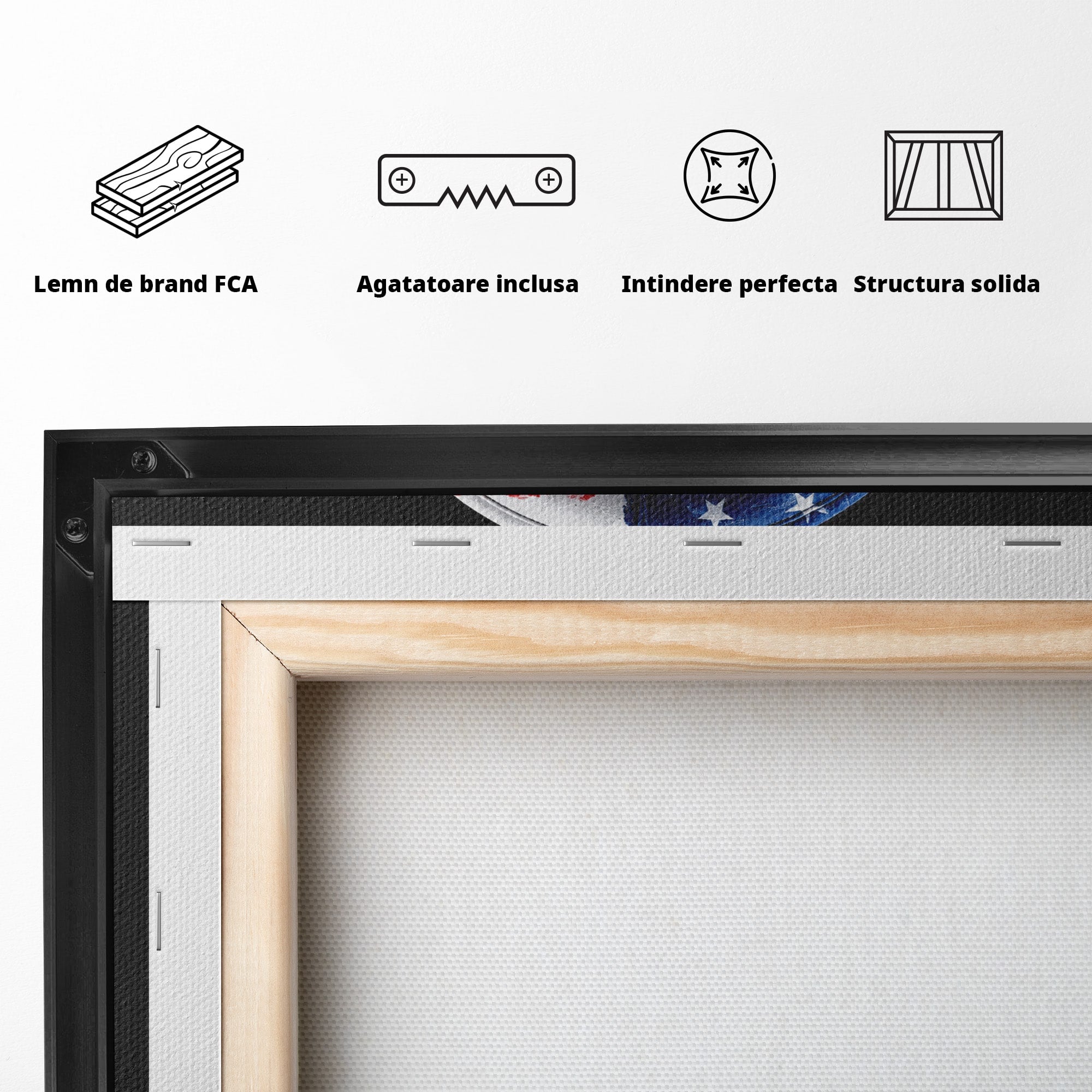 Tablou Canvas Premium LuxCanva® R1041, Castile Patriotice, Castile, Stele, Drapel, Muzica, Birou, Culori Vibrante