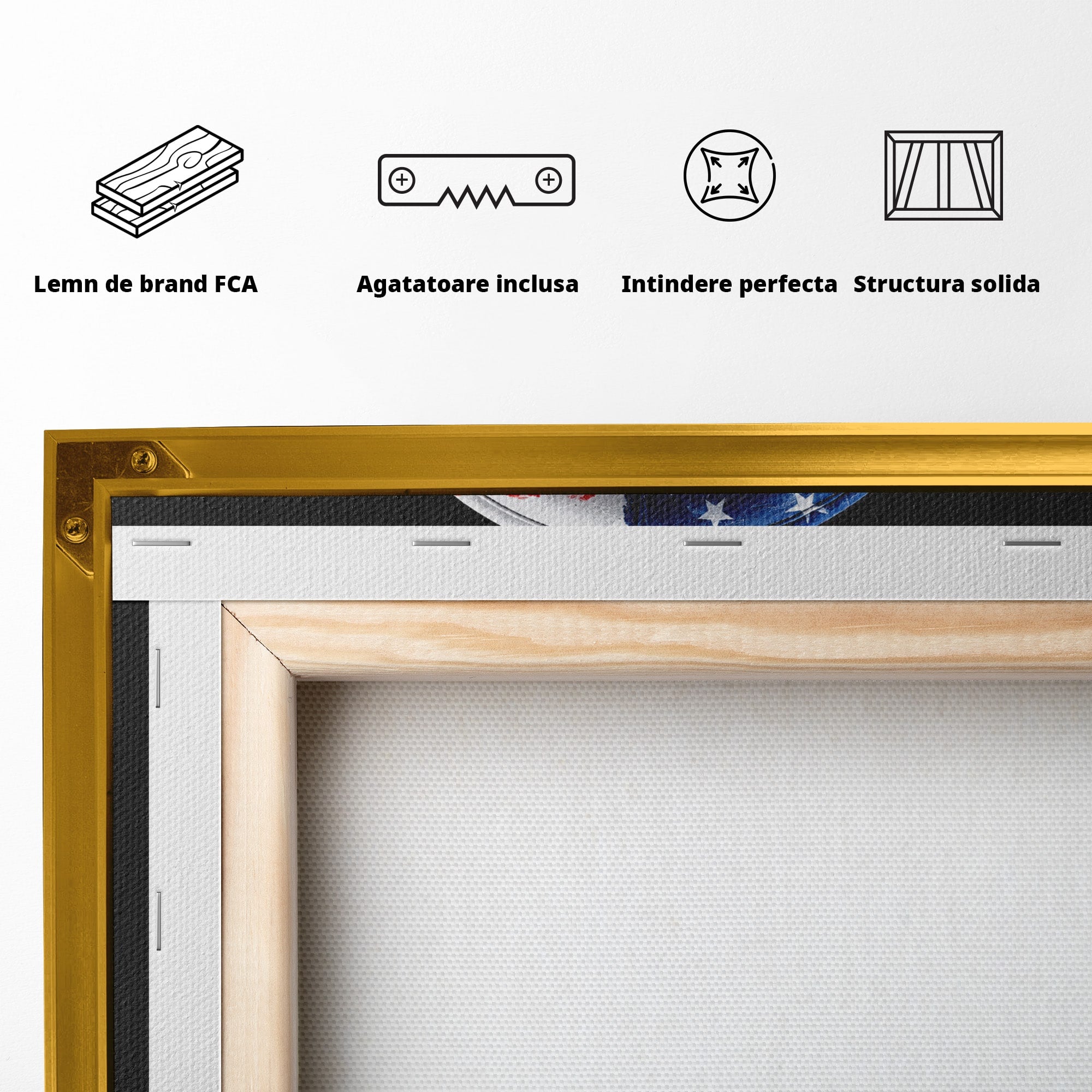 Tablou Canvas Premium LuxCanva® R1041, Castile Patriotice, Castile, Stele, Drapel, Muzica, Birou, Culori Vibrante