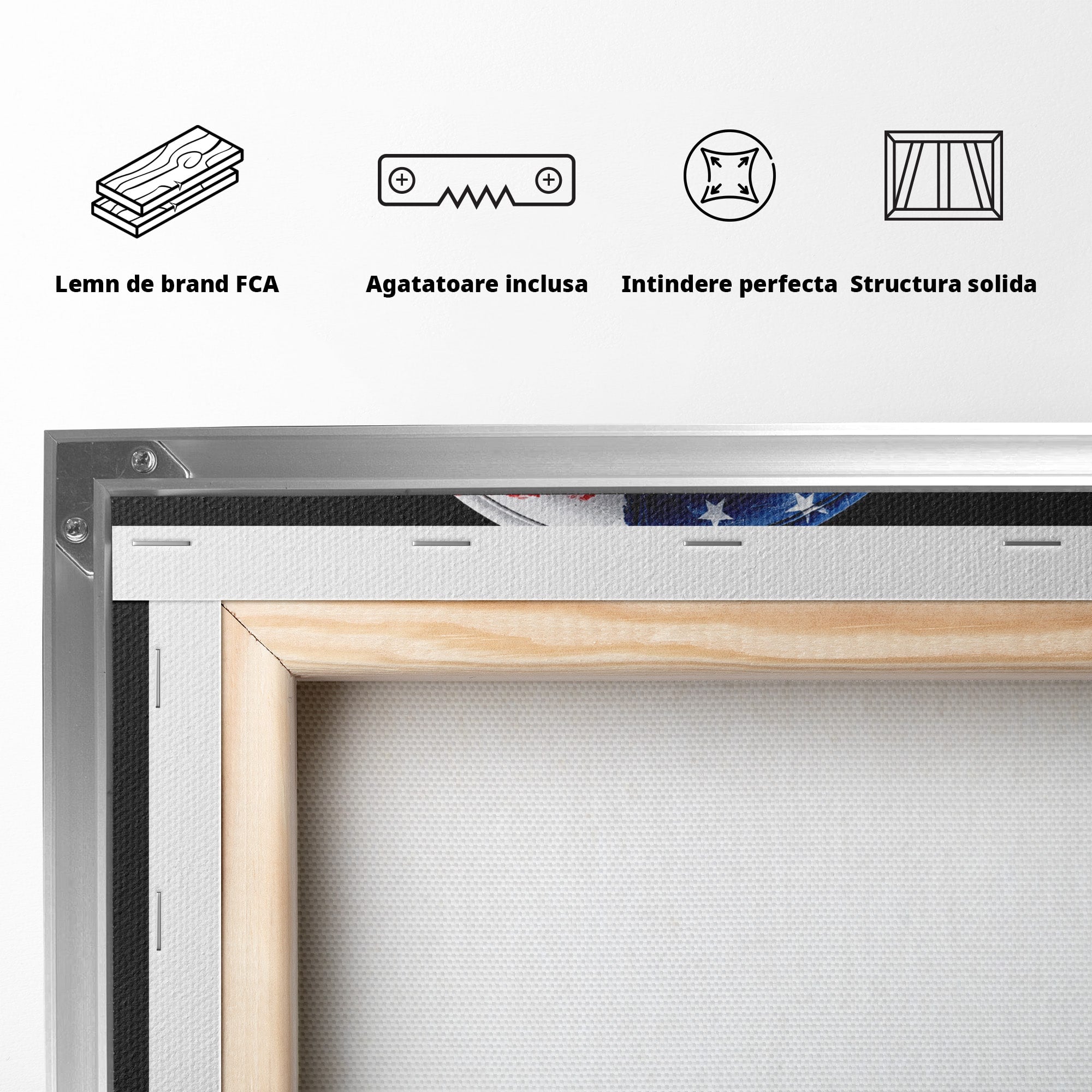 Tablou Canvas Premium LuxCanva® R1041, Castile Patriotice, Castile, Stele, Drapel, Muzica, Birou, Culori Vibrante