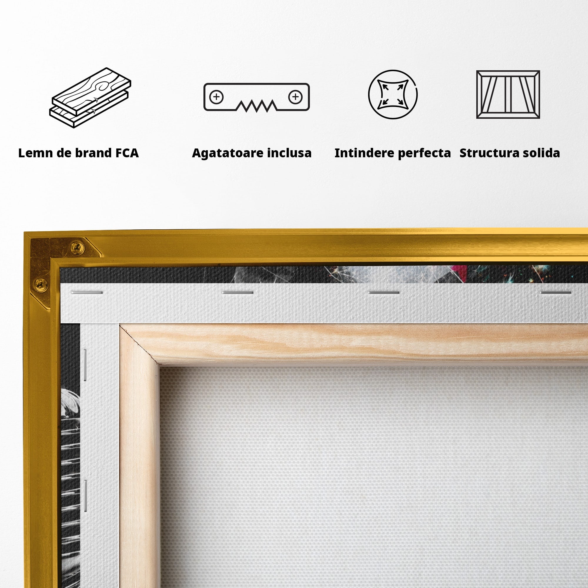 Tablou Canvas Premium LuxCanva® R1043, Cantareata Stralucitoare, Cantareata, Microfon, Arta Digitala, Living, Dormitor, Culori Vibrante