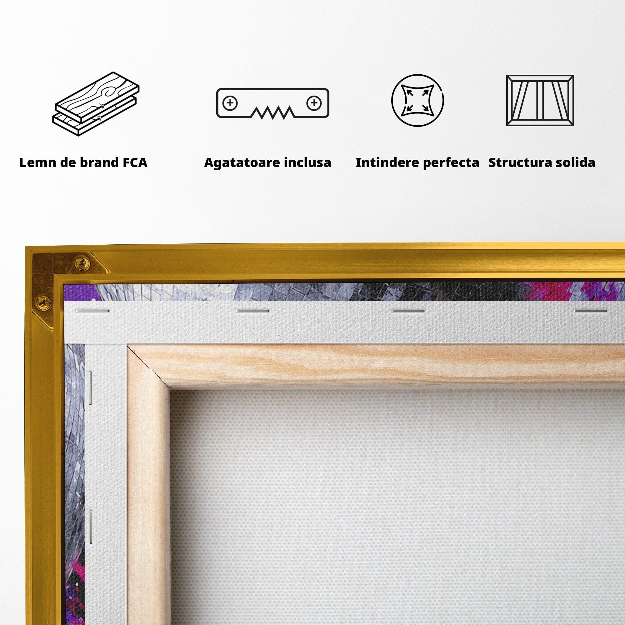 Tablou Canvas Premium LuxCanva® R1044, Planeta Disco, Planeta, Spatiu, Abstract, Living, Dormitor, Culori Vibrante