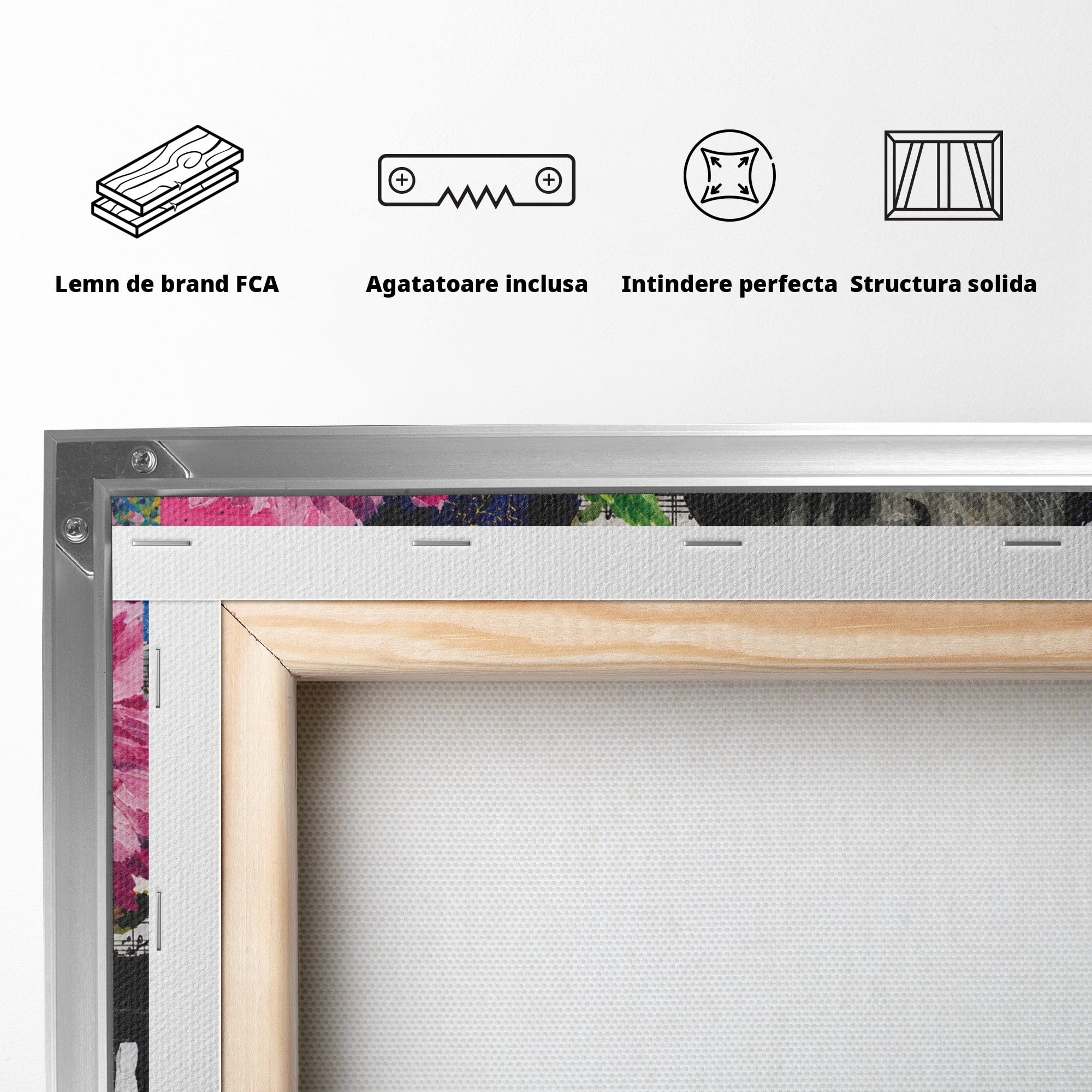 Tablou Canvas Premium LuxCanva® R1051, Portretul Lui Mozart, Portret, Muzician, Clasic, Living, Birou, Culori Vibrante