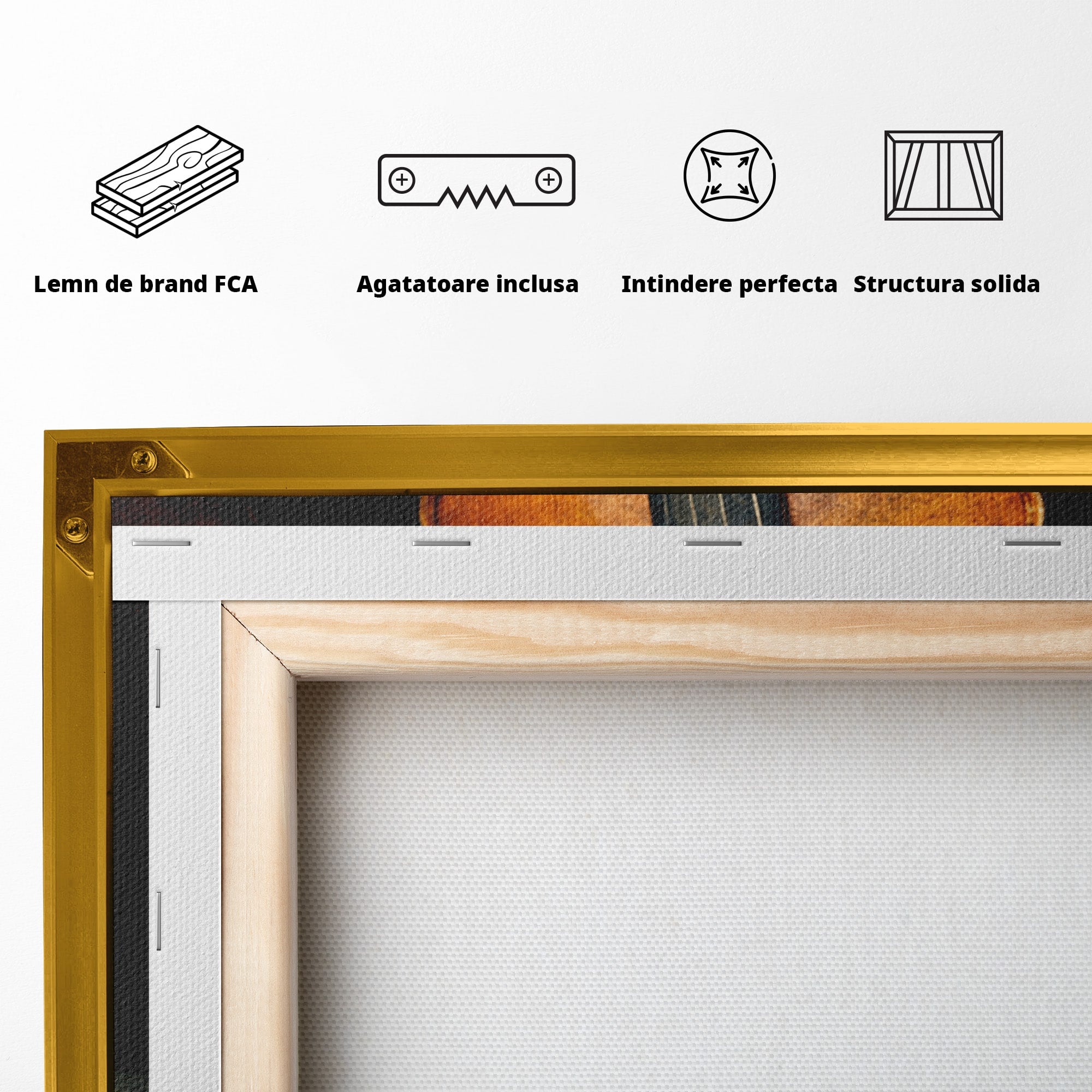 Tablou Canvas Premium LuxCanva® R1058, Vioara Pe Pian, Vioara, Pian, Muzica, Vintage, Living, Birou, Culori Vibrante