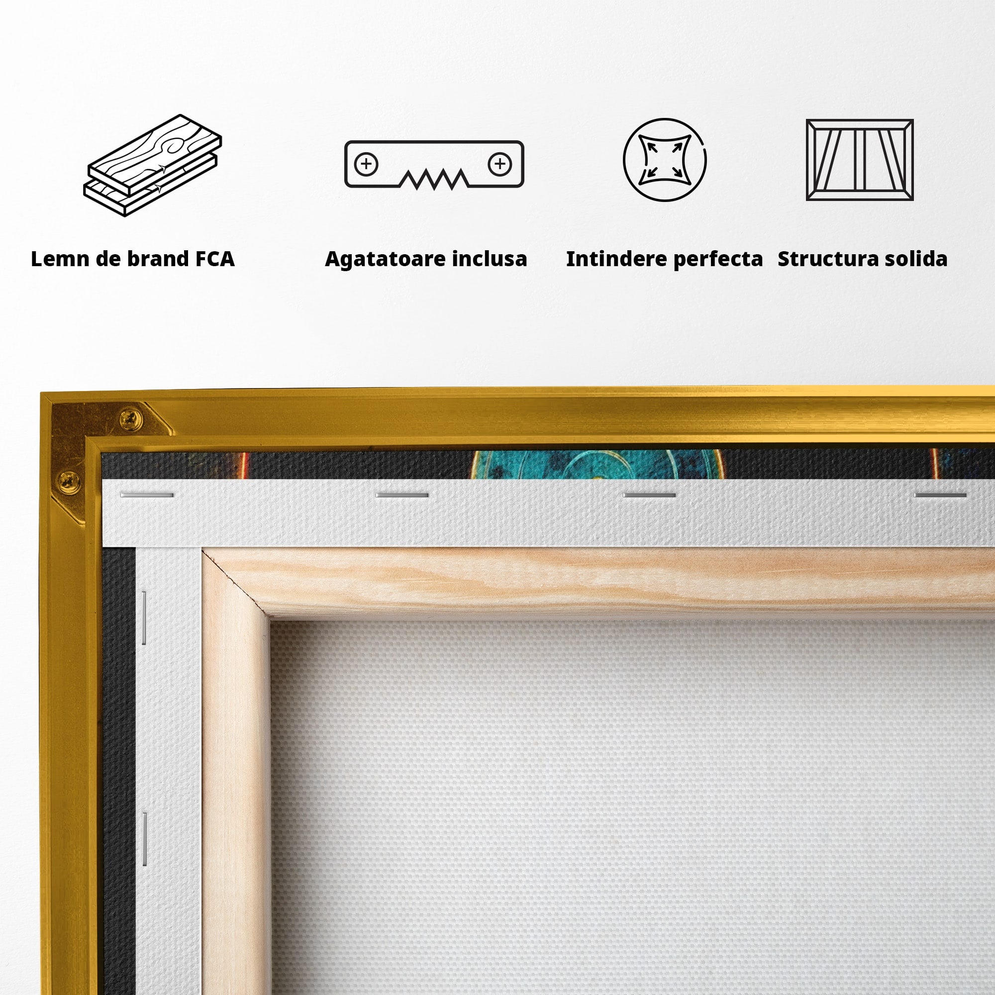 Tablou Canvas Premium LuxCanva® R1059, Vinil Cosmic, Vinil, Muzica, Arta Digitala, Maini, Living, Culori Vibrante
