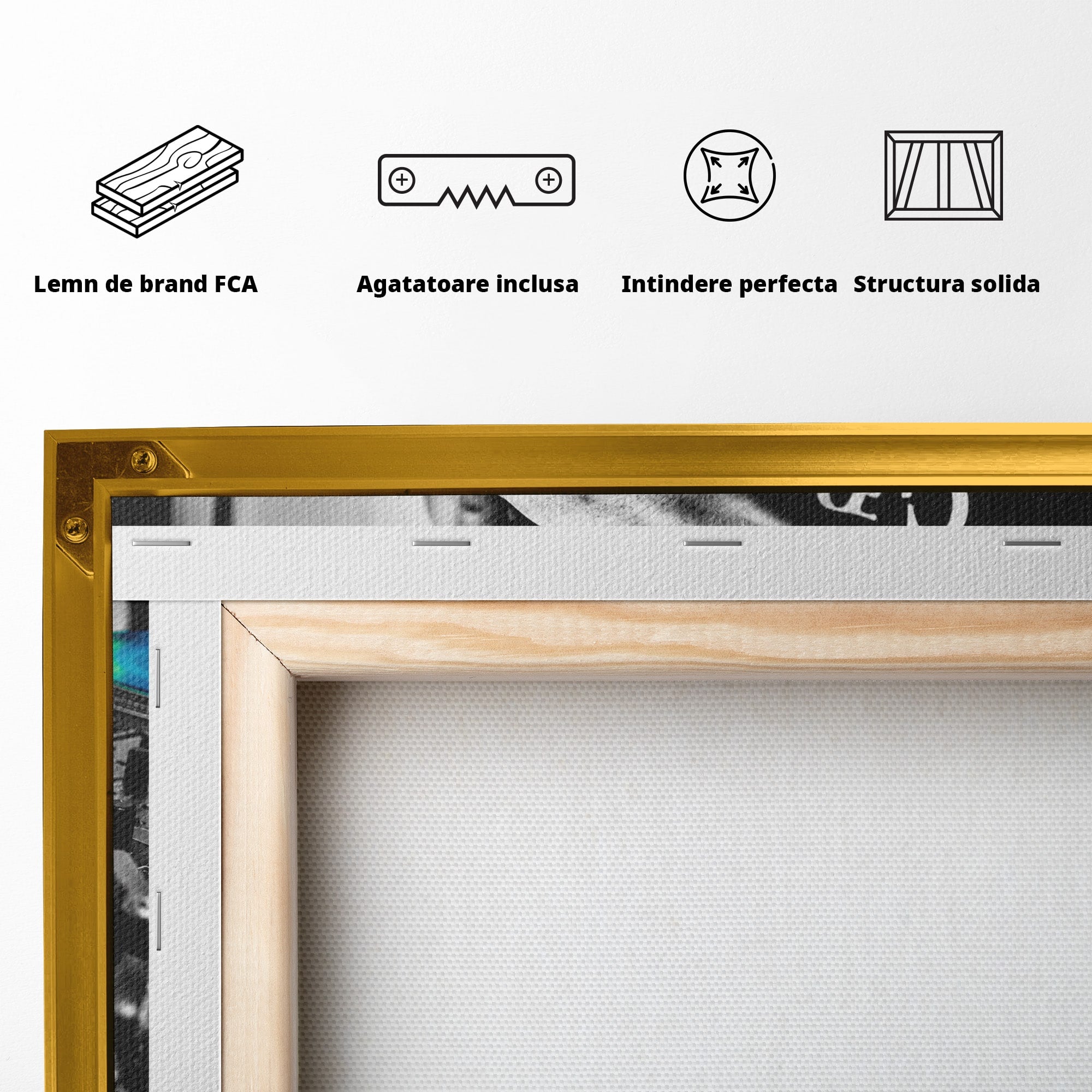 Tablou Canvas Premium LuxCanva® R1060, DJ La Platane, DJ, Muzica, Vinil, Mana, Living, Modern, Energetic, Culori Vibrante