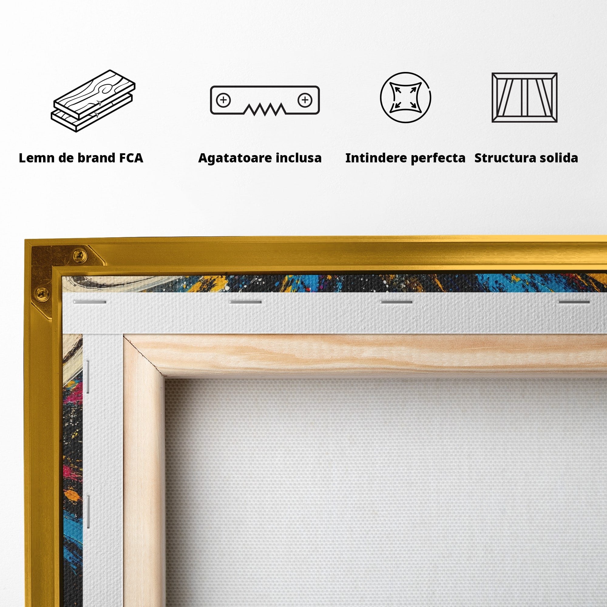 Tablou Canvas Premium LuxCanva® S1001, Inelul Cosmic, Planeta, Spatiu, Abstract, Univers, Living, Culori Vibrante