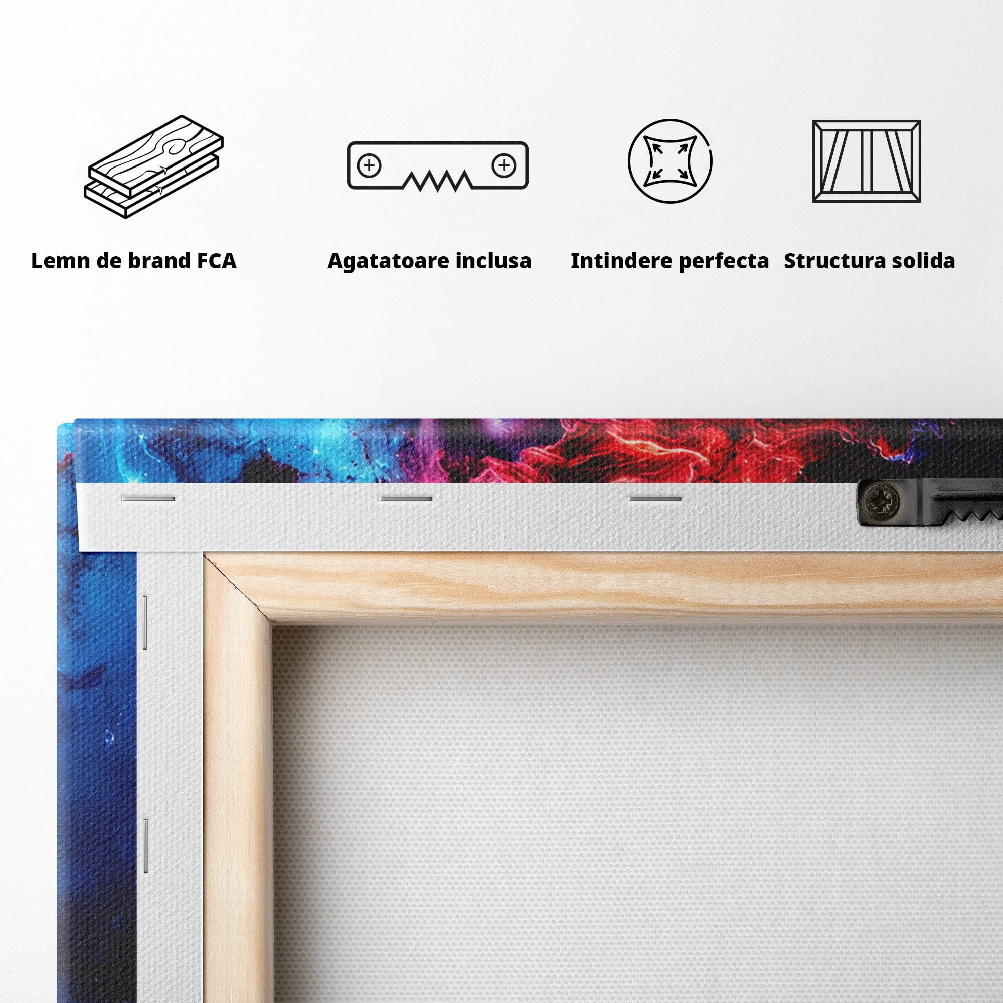 Tablou Canvas Premium LuxCanva® S1005, Vis Cosmic, Portret, Abstract, Spatiu, Fantezie, Dormitor, Culori Vibrante