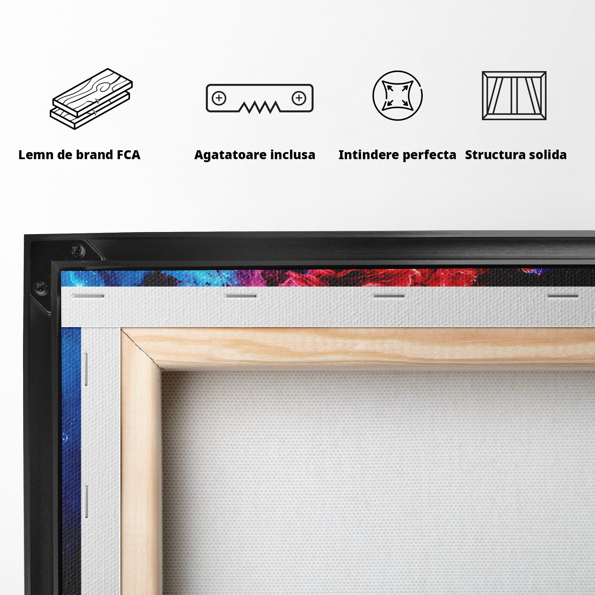 Tablou Canvas Premium LuxCanva® S1005, Vis Cosmic, Portret, Abstract, Spatiu, Fantezie, Dormitor, Culori Vibrante