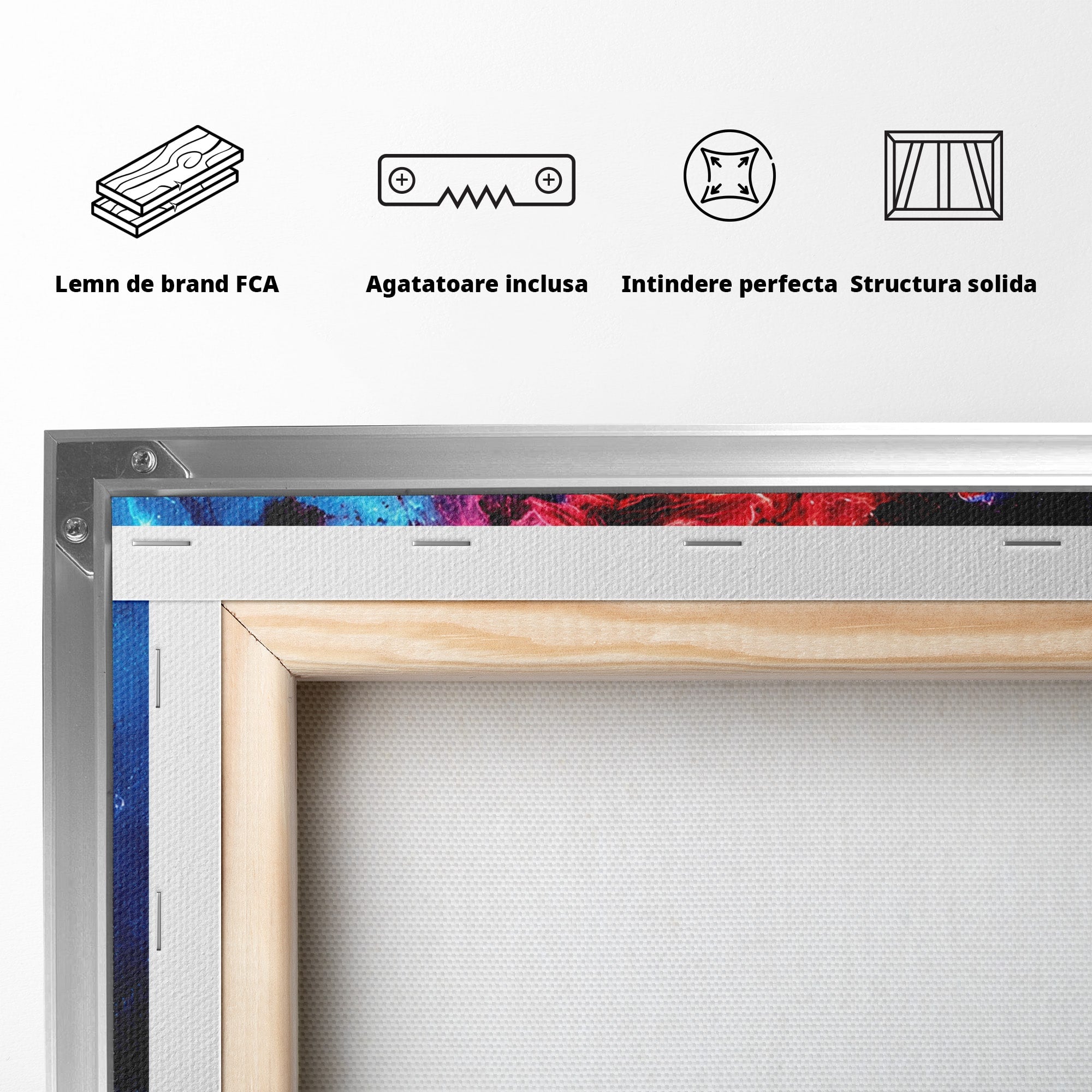 Tablou Canvas Premium LuxCanva® S1005, Vis Cosmic, Portret, Abstract, Spatiu, Fantezie, Dormitor, Culori Vibrante