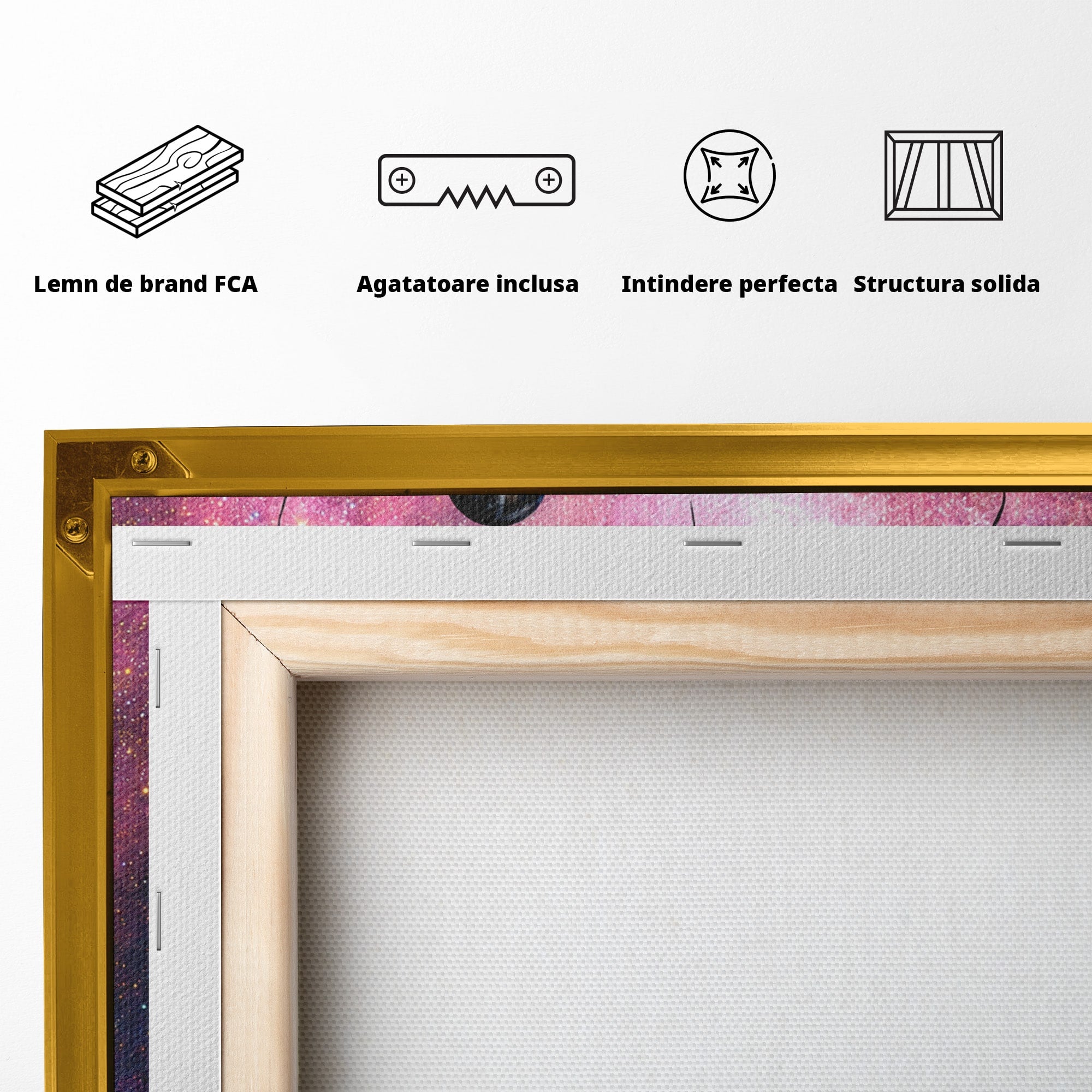 Tablou Canvas Premium LuxCanva® S1007, Fata Si Planetele, Fata, Planete, Univers, Visare, Dormitor, Culori Vibrante
