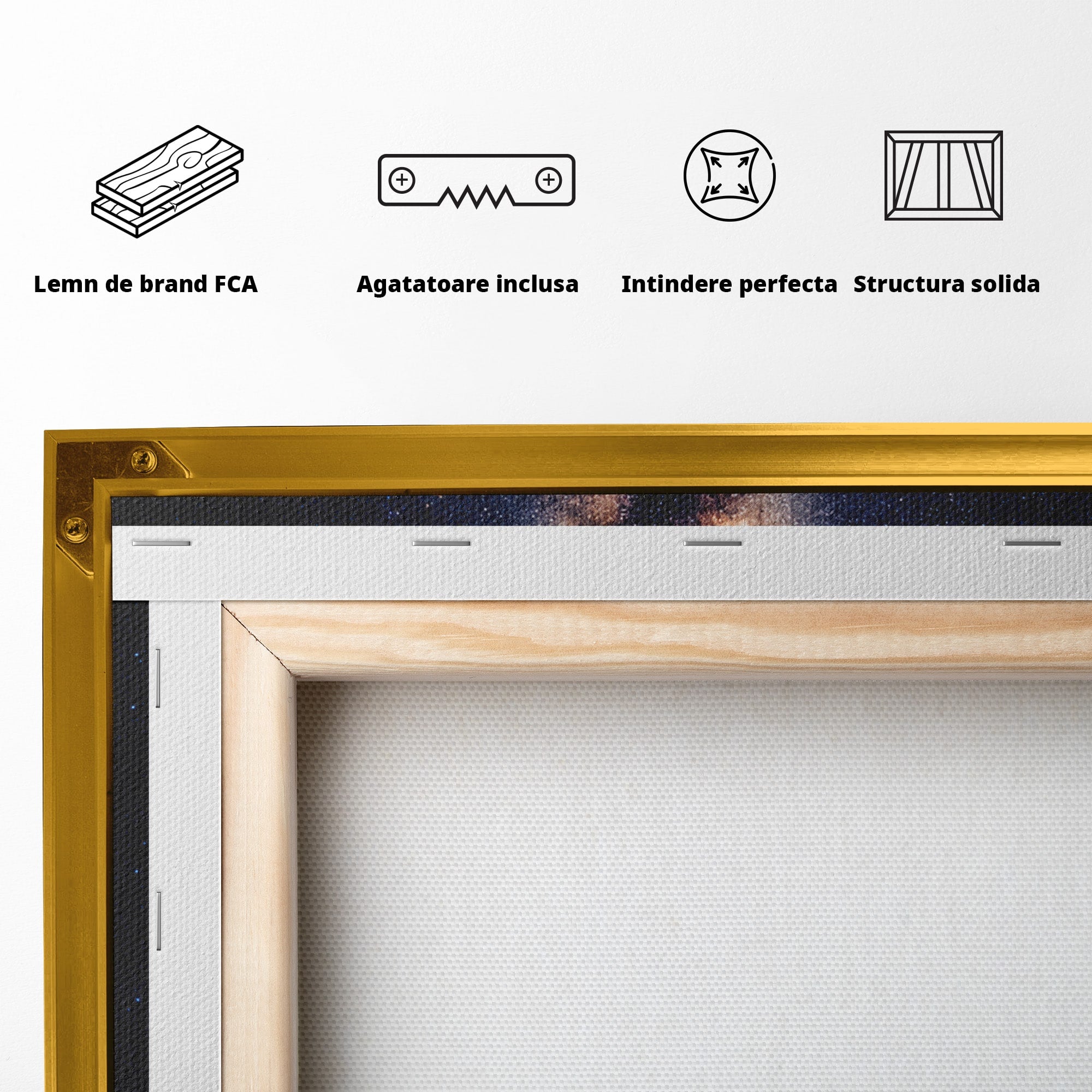 Tablou Canvas Premium LuxCanva® S1008, Casa Zburatoare, Casa, Noapte, Cer Instelat, Fantezie, Living, Culori Vibrante