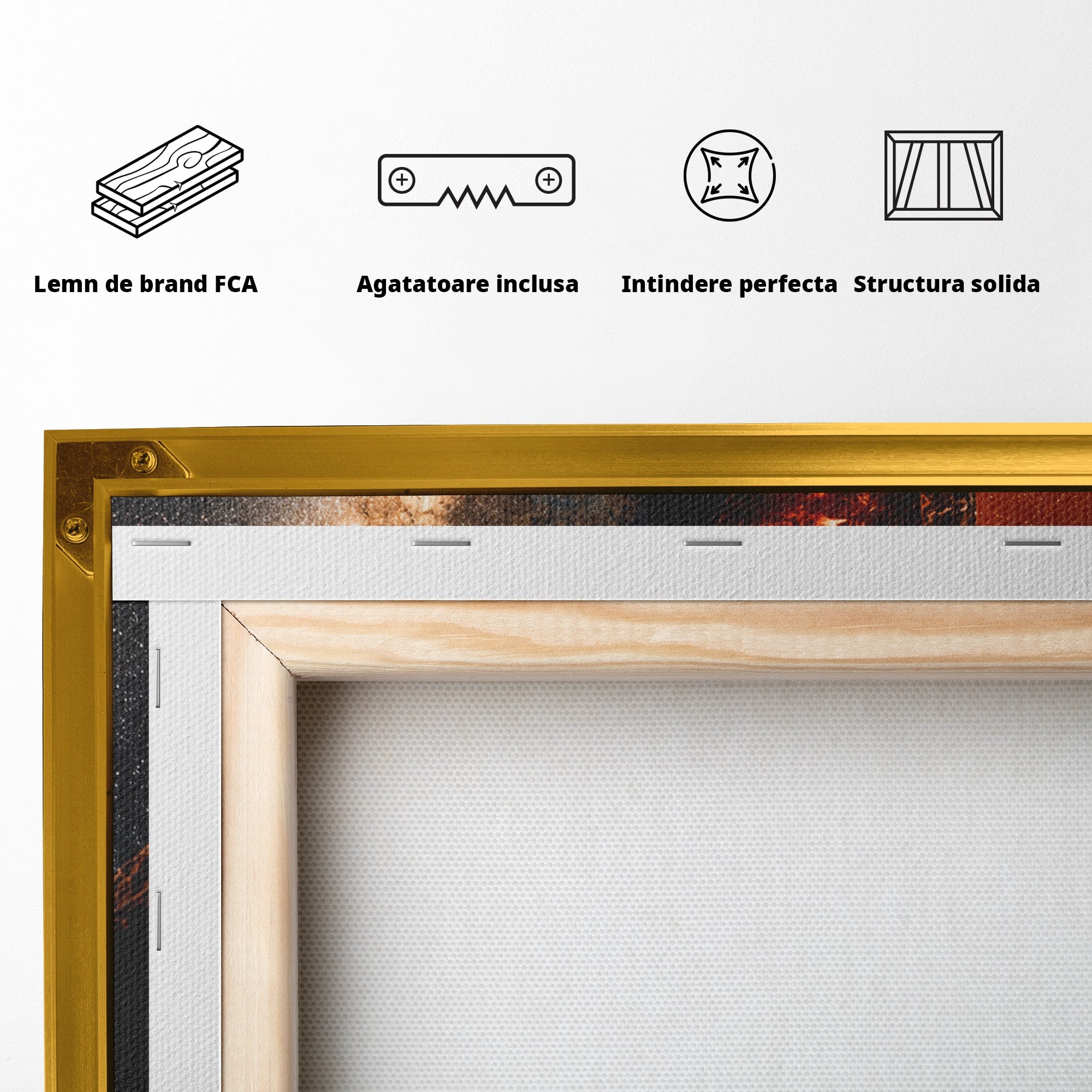 Tablou Canvas Premium LuxCanva® S1009, Calatoria Cosmica, Balon, Univers, Explorare, Fantezie, Living, Culori Vibrante
