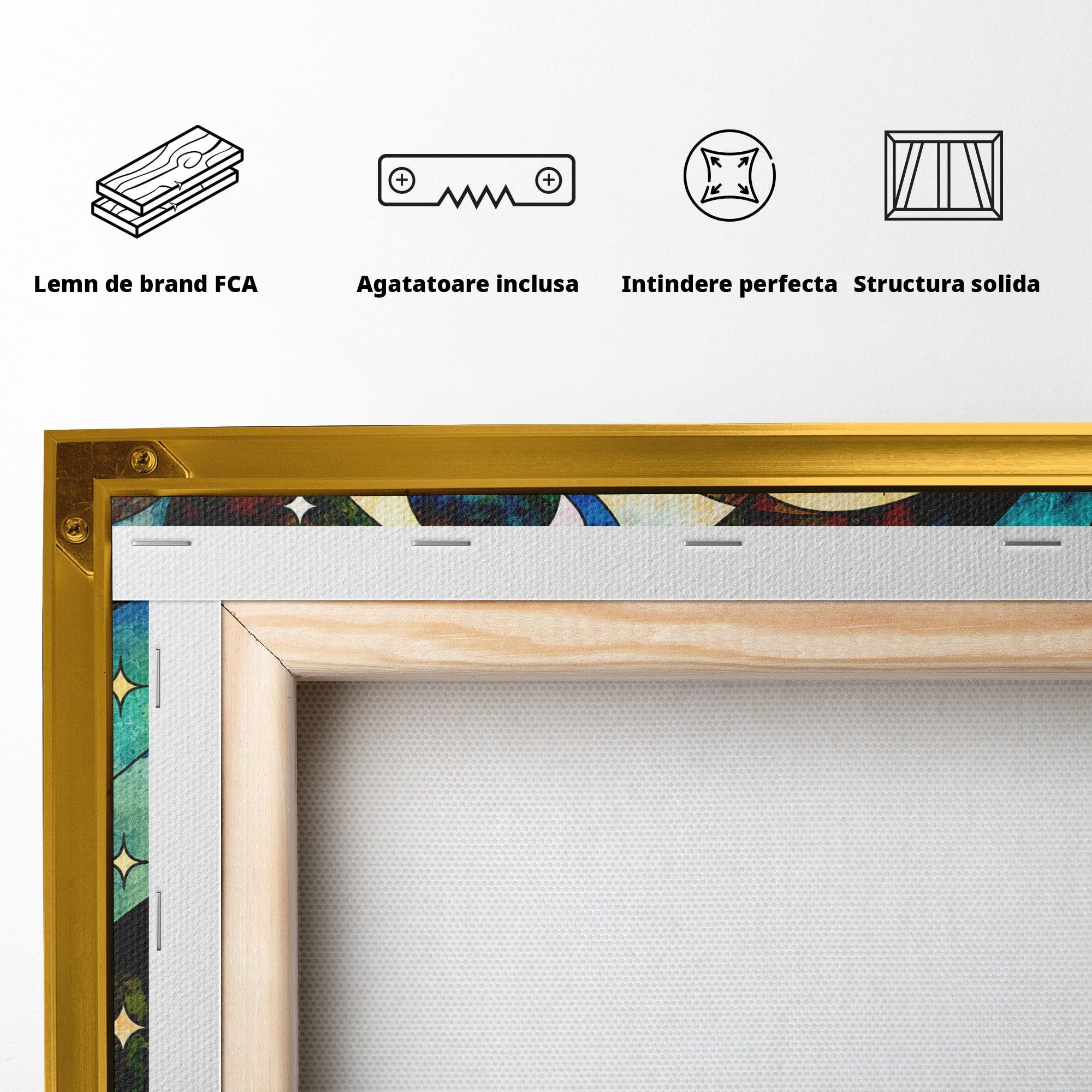 Tablou Canvas Premium LuxCanva® S1010, Cosmosul Visator, Cosmos, Vis, Abstract, Univers, Living, Culori Vibrante
