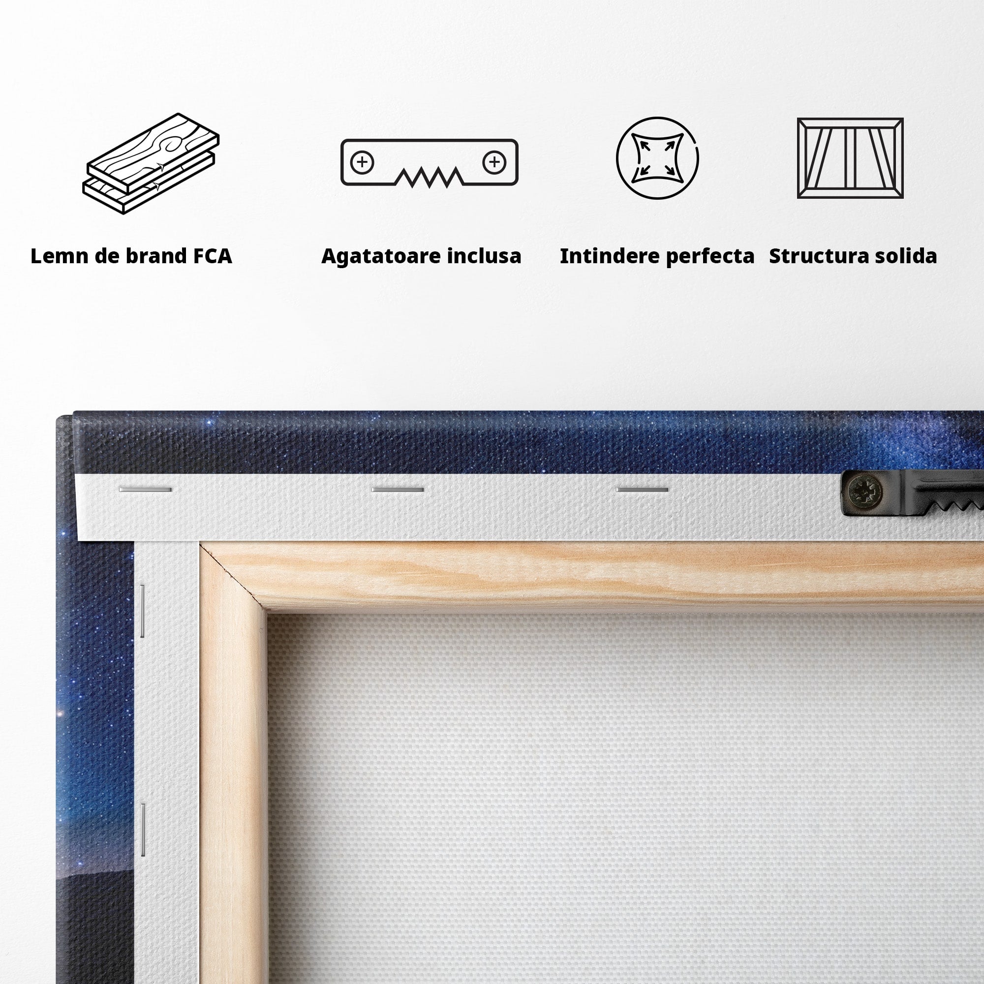 Tablou Canvas Premium LuxCanva® S1011, Arcul Sub Calea Lactee, Arcul, Calea Lactee, Peisaj, Noapte, Living, Culori Vibrante