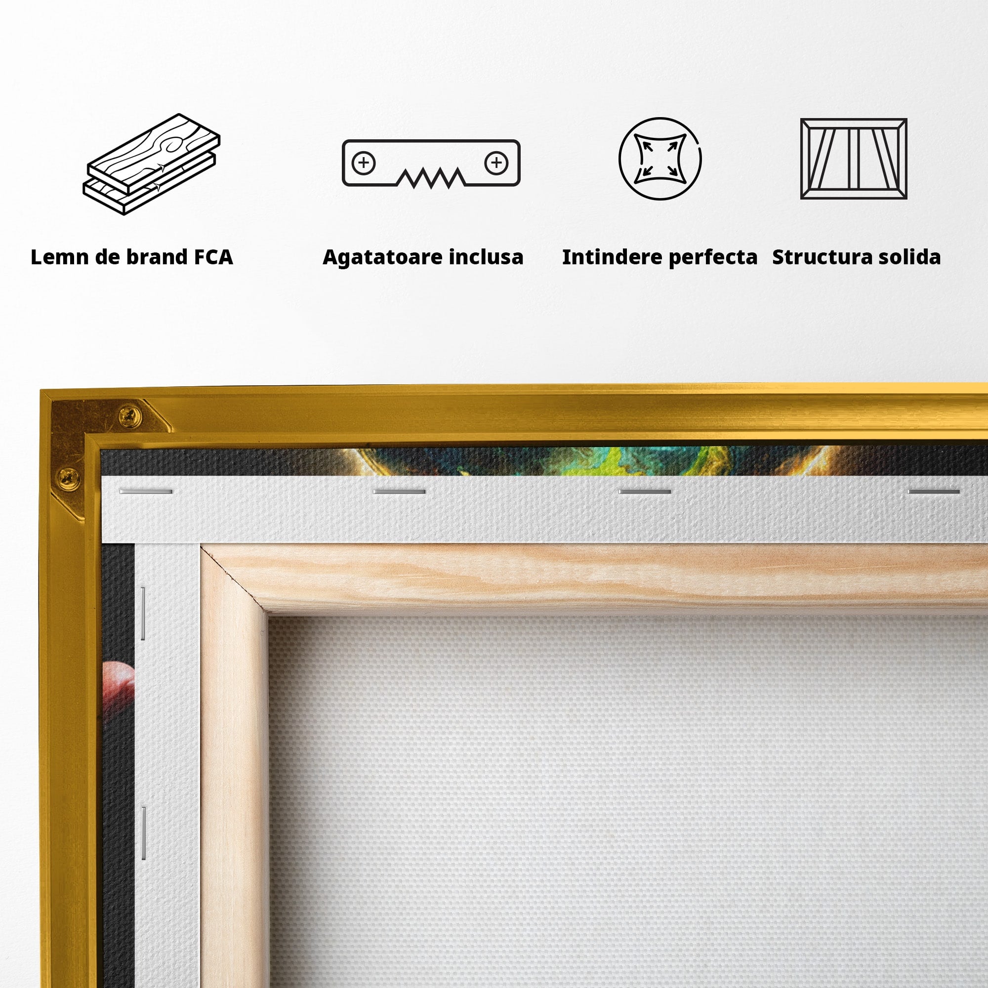 Tablou Canvas Premium LuxCanva® S1012, Pamantul In Flacari, Pamant, Foc, Mana, Arta Conceptuala, Living, Dormitor, Culori Vibrante
