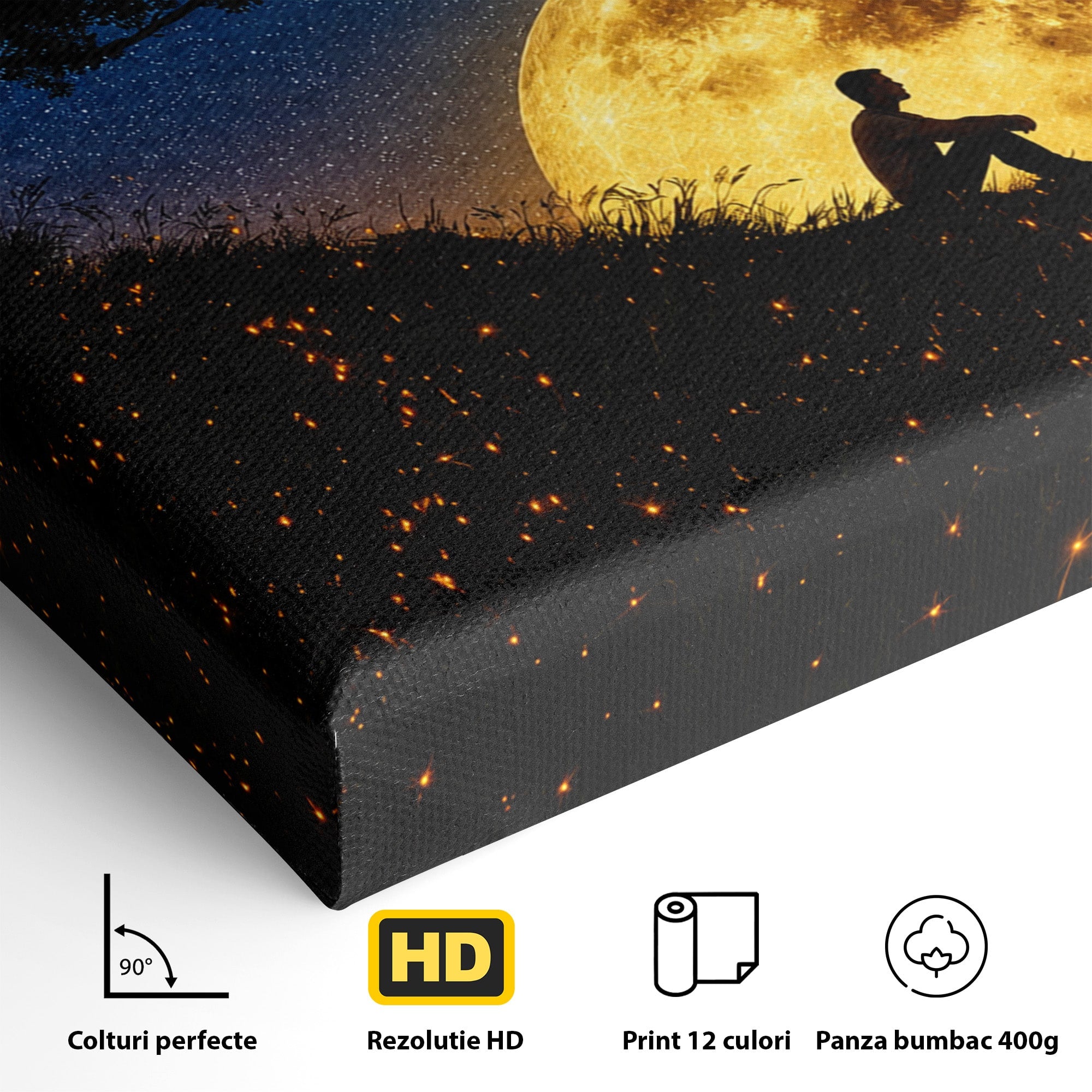 Tablou Canvas Premium LuxCanva® S1013, Contemplatie Sub Luna Plina, Luna, Copac, Stele, Noapte, Meditatie, Living, Culori Vibrante