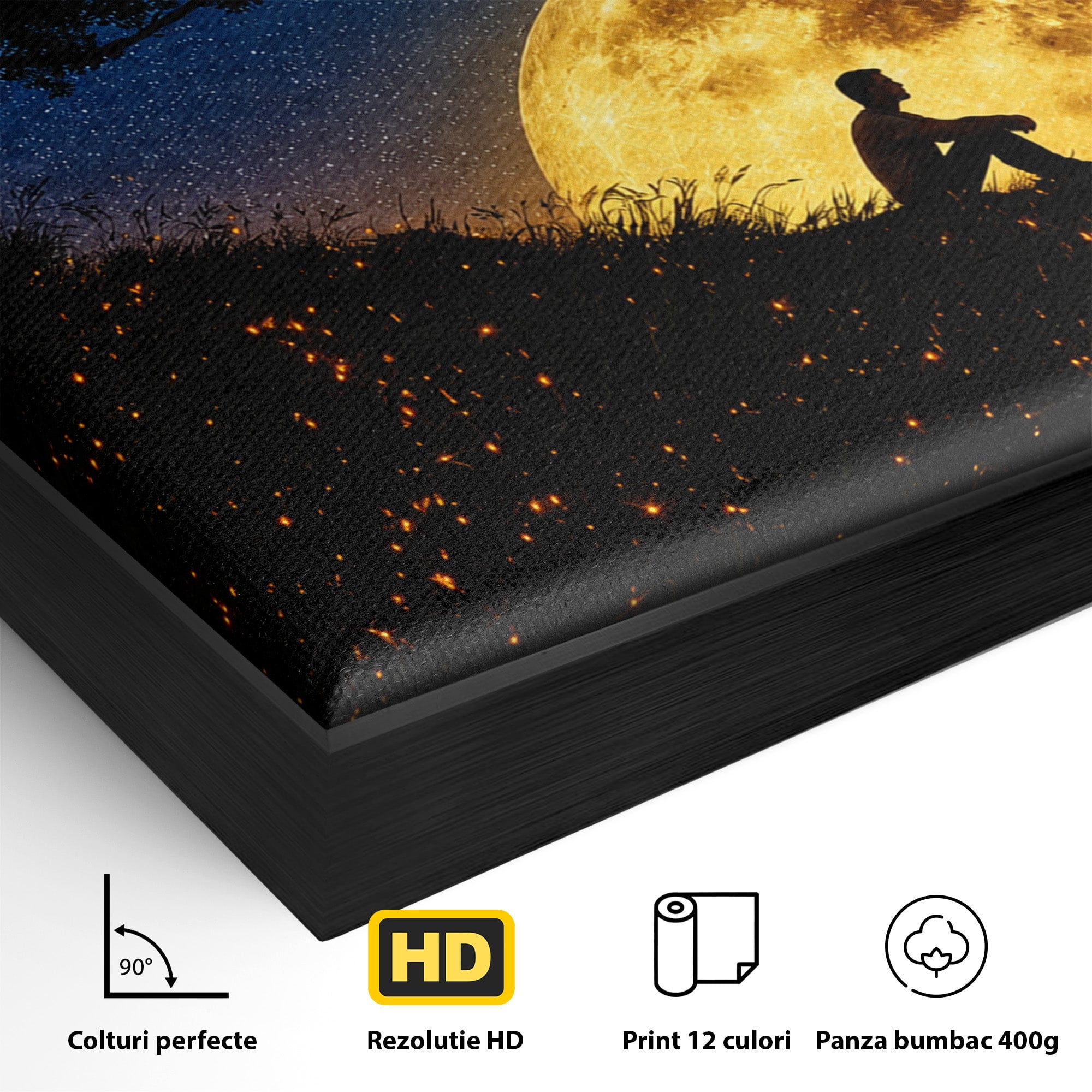 Tablou Canvas Premium LuxCanva® S1013, Contemplatie Sub Luna Plina, Luna, Copac, Stele, Noapte, Meditatie, Living, Culori Vibrante