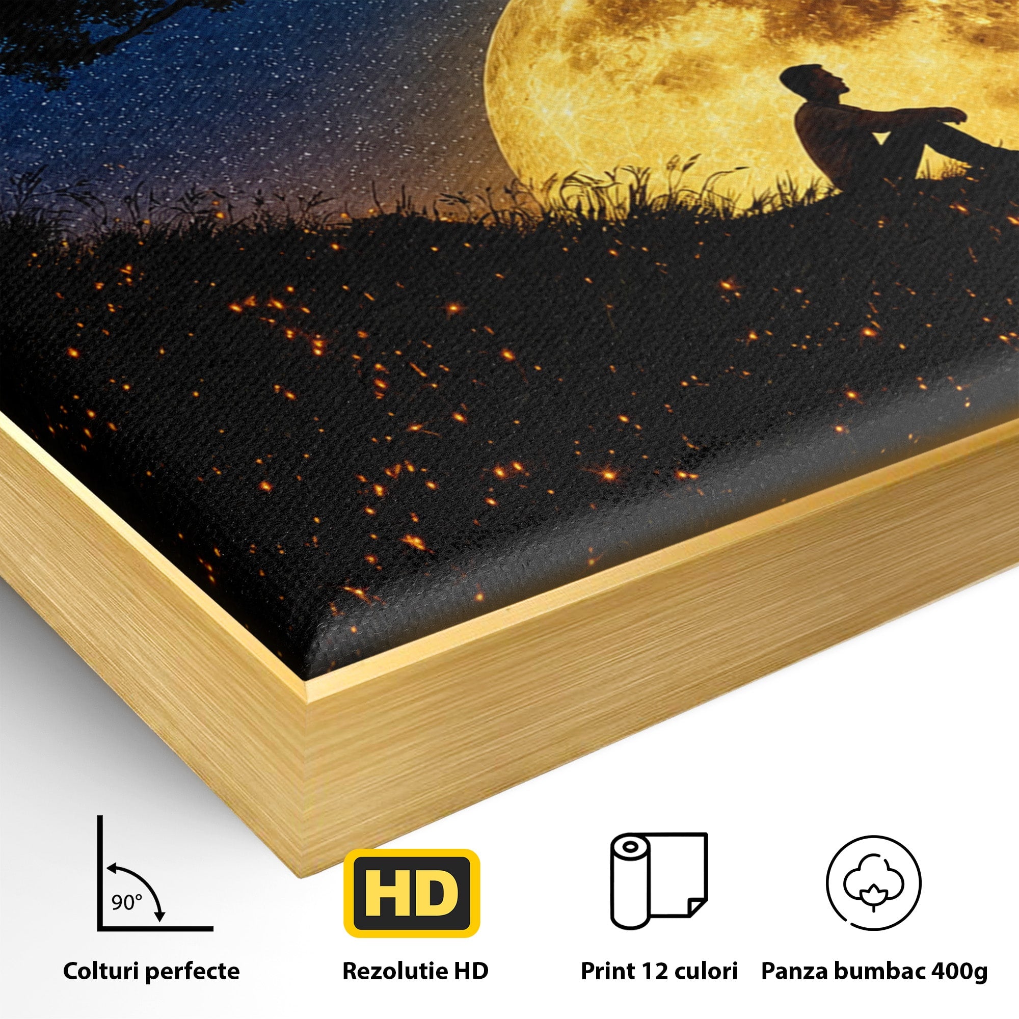Tablou Canvas Premium LuxCanva® S1013, Contemplatie Sub Luna Plina, Luna, Copac, Stele, Noapte, Meditatie, Living, Culori Vibrante