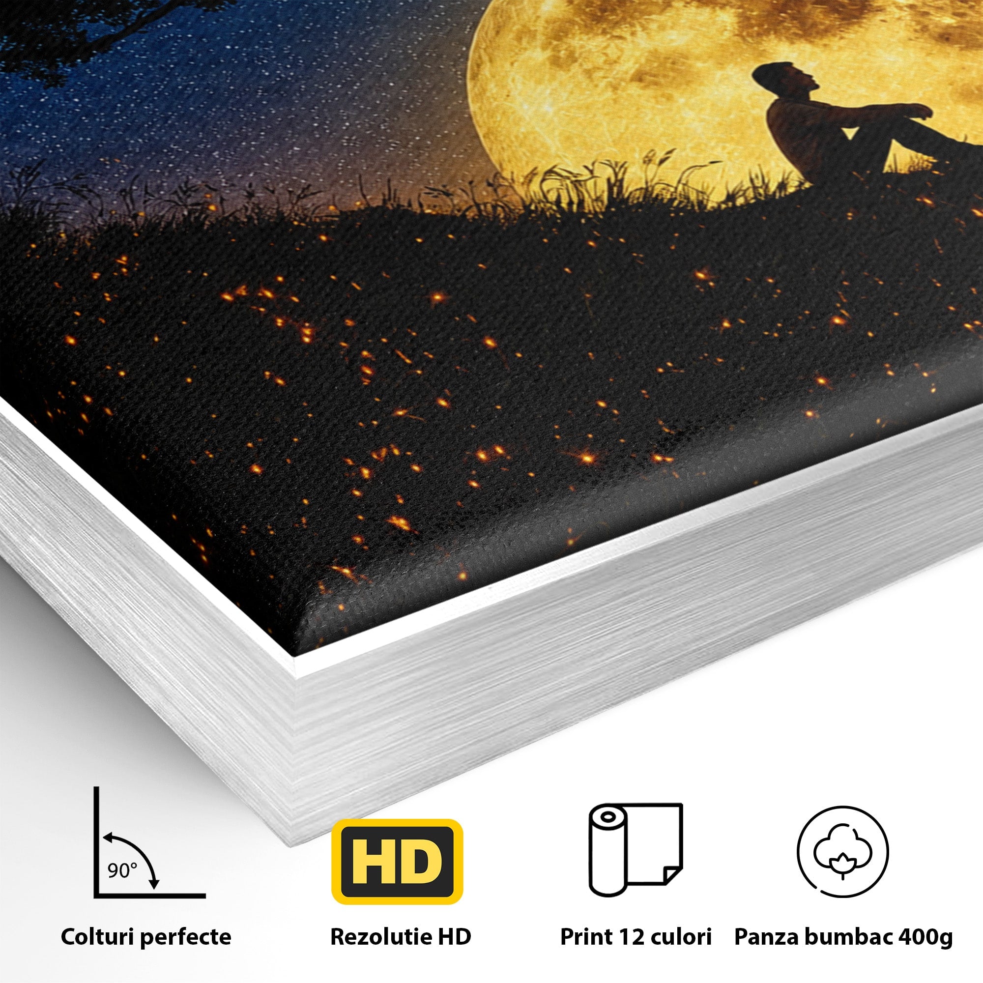 Tablou Canvas Premium LuxCanva® S1013, Contemplatie Sub Luna Plina, Luna, Copac, Stele, Noapte, Meditatie, Living, Culori Vibrante