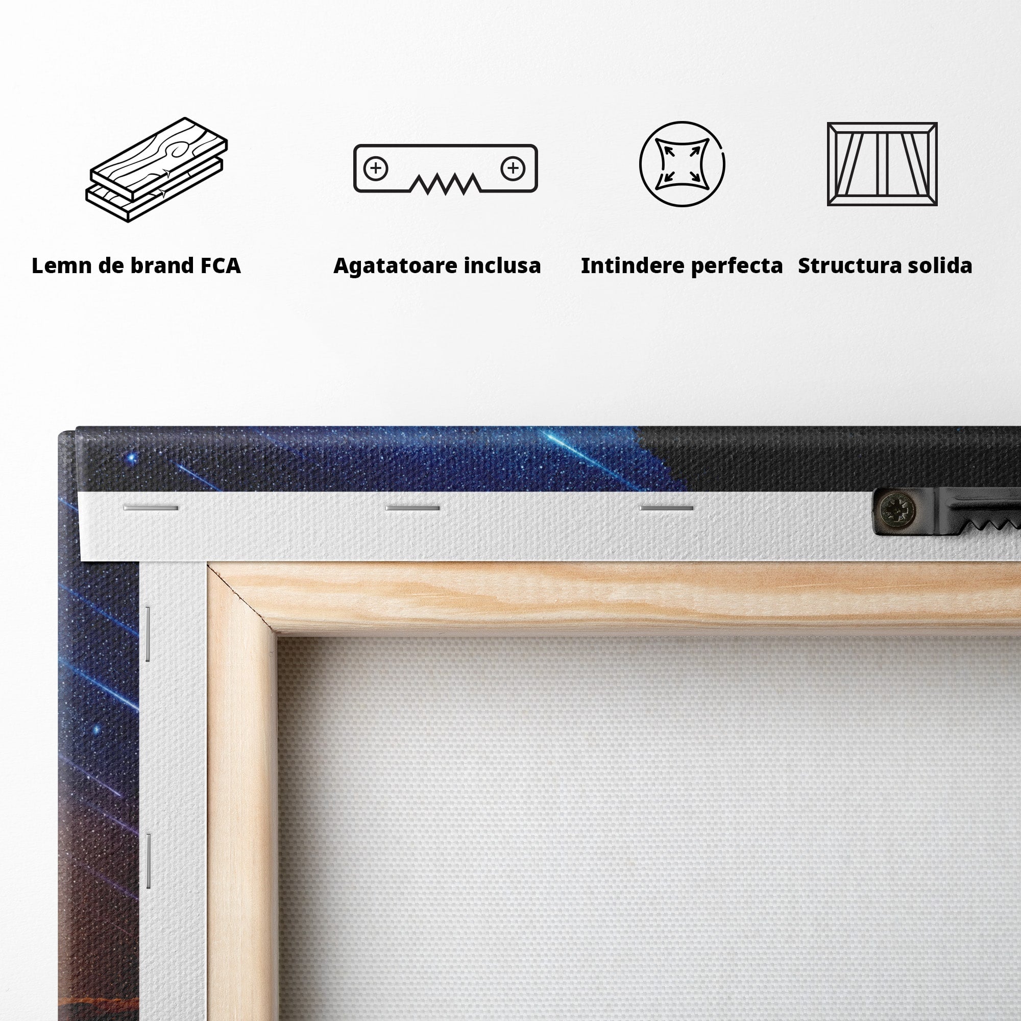 Tablou Canvas Premium LuxCanva® S1013, Contemplatie Sub Luna Plina, Luna, Copac, Stele, Noapte, Meditatie, Living, Culori Vibrante